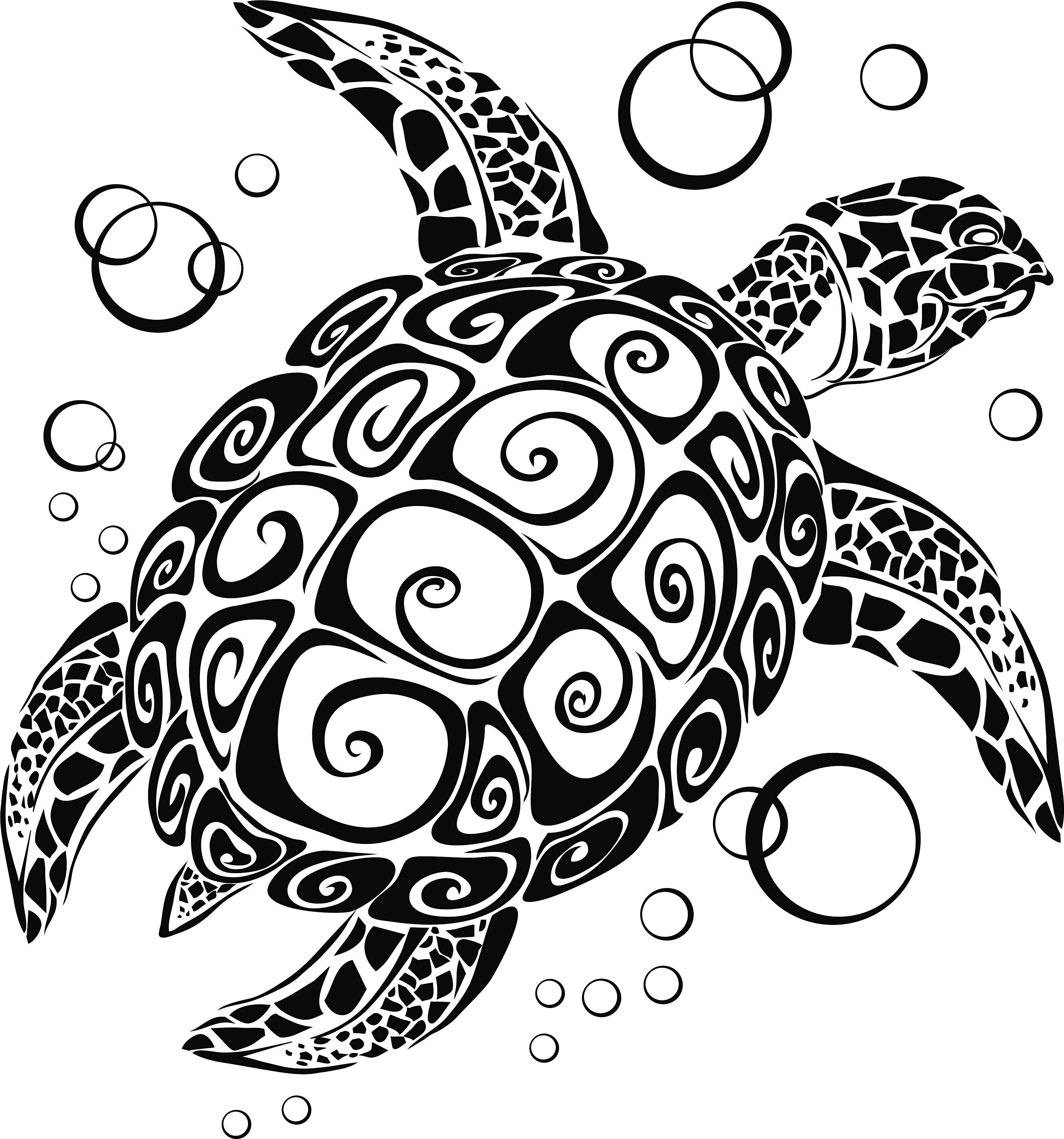Wandtattoodesign Wandtattoo Aufkleber Schildkröte Schildi Wandaufkleber günstig online kaufen