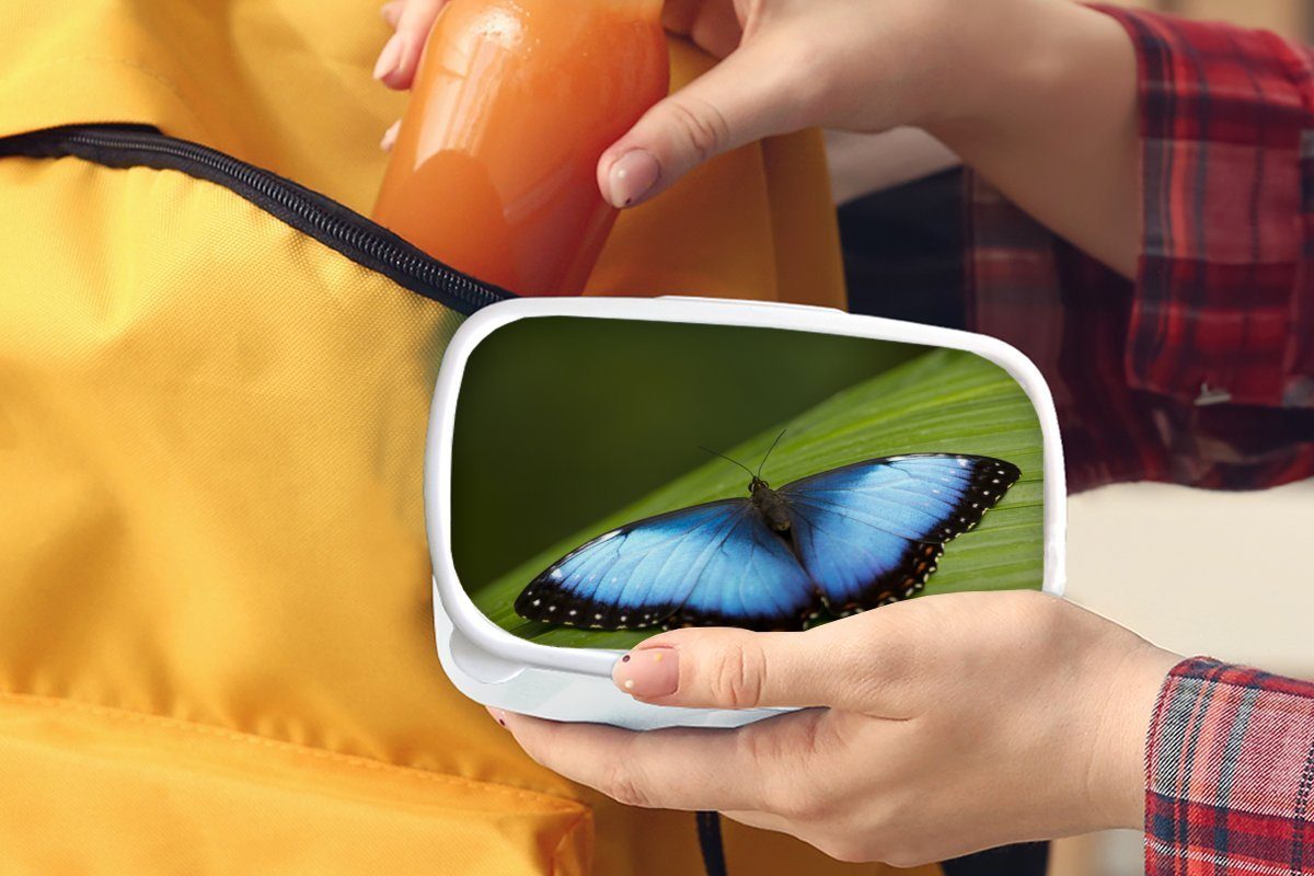 für (2-tlg), Blatt, MuchoWow Schmetterling Brotbox Erwachsene, Mädchen Brotdose, für weiß Lunchbox Kunststoff, Jungs auf Morpho und und Kinder