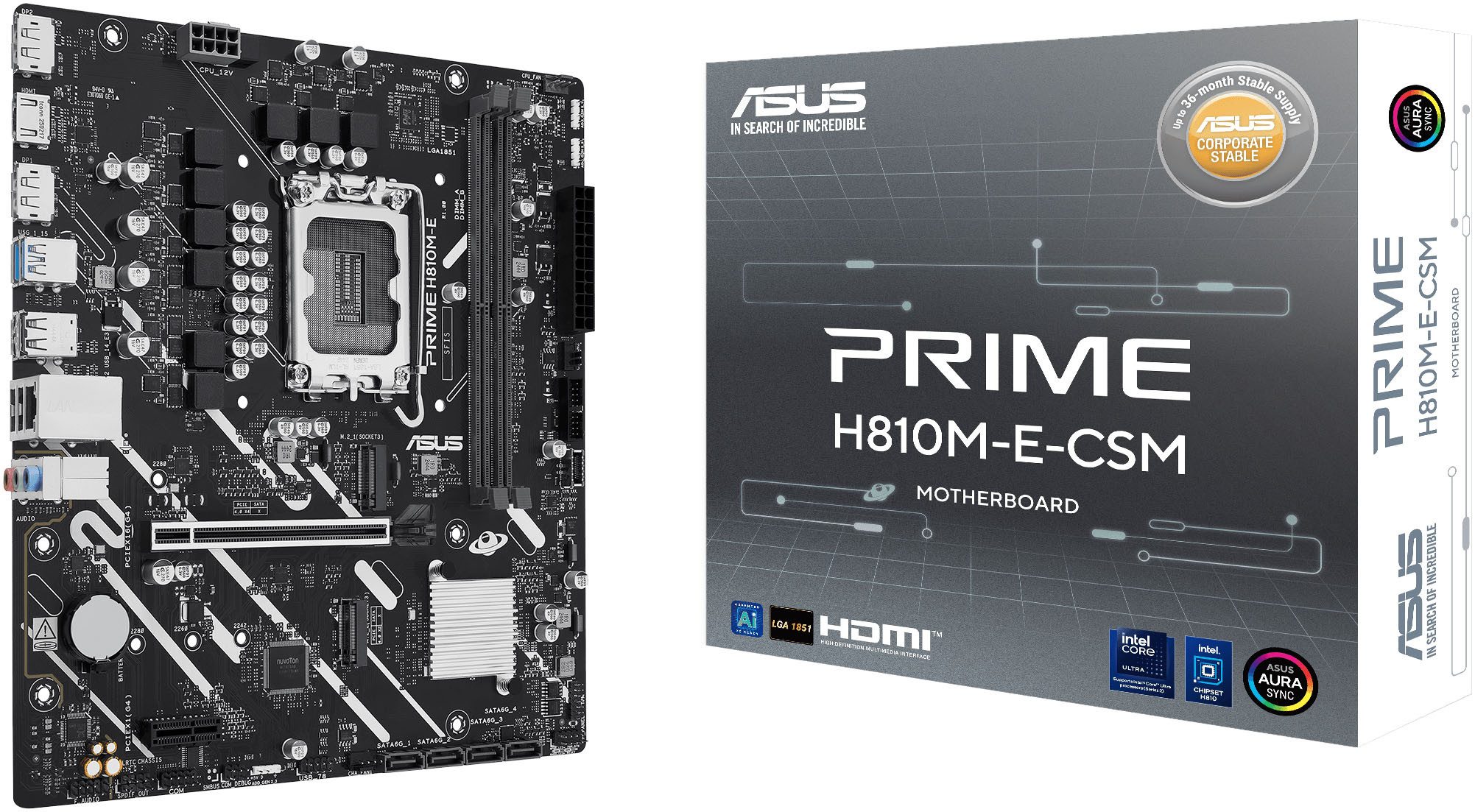 Asus PRIME H810M-E-CSM Mainboard