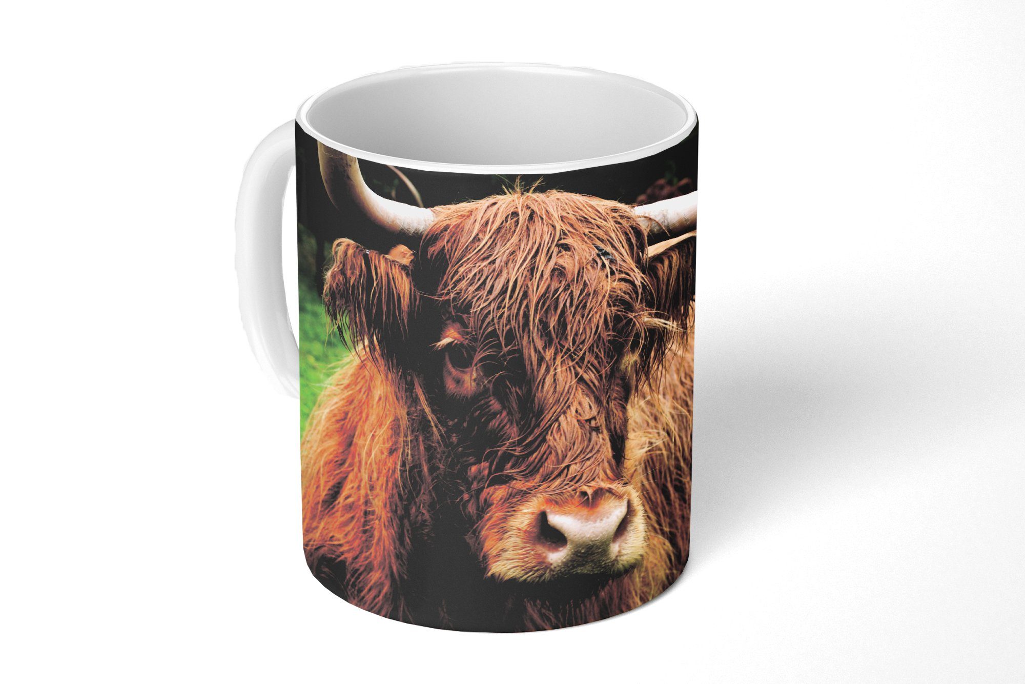 MuchoWow Tasse Schottische Highlander - Tiere - Gras, Keramik, Kaffeetassen, Teetasse, Becher, Teetasse, Geschenk