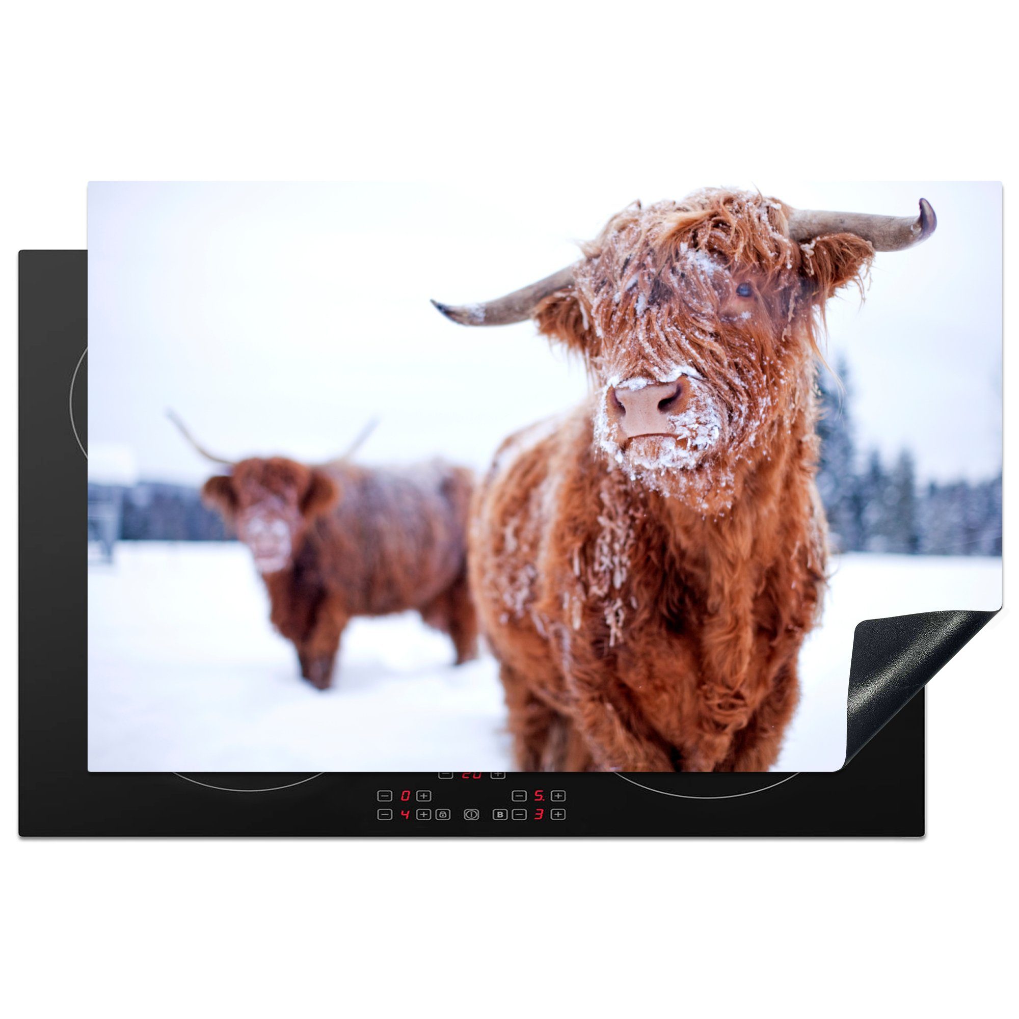 MuchoWow Herdblende-/Abdeckplatte Schottischer Highlander - Schnee - Haut, Vinyl, (1 tlg), 81x52 cm, Induktionskochfeld Schutz für die küche, Ceranfeldabdeckung