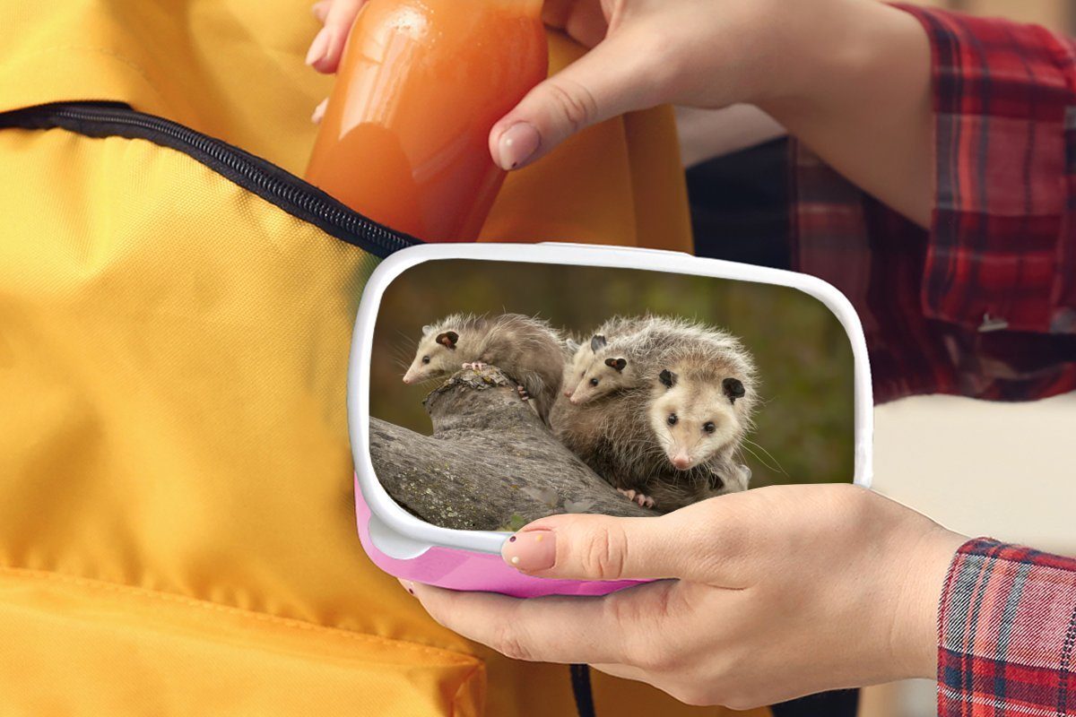 Jungen, Opossum Erwachsene, Mädchen, (2-tlg), rosa Kunststoff, MuchoWow Lunchbox Brotdose Kunststoff Brotbox Kinder, für Virginisches Snackbox, mit