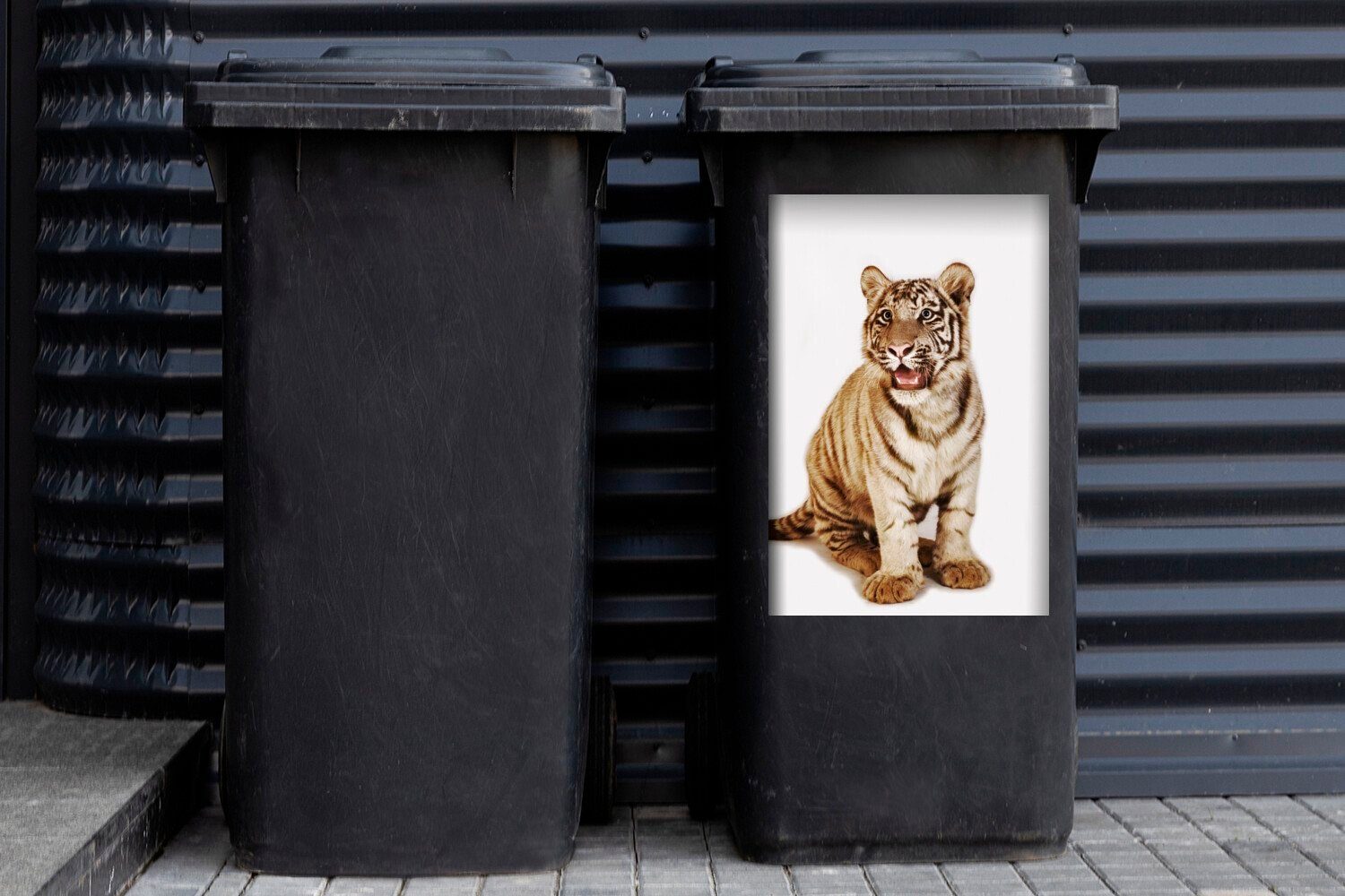 Abfalbehälter Tier (1 Sticker, Wandsticker St), Container, Mülleimer-aufkleber, - Mülltonne, Tiger - MuchoWow Jungtier