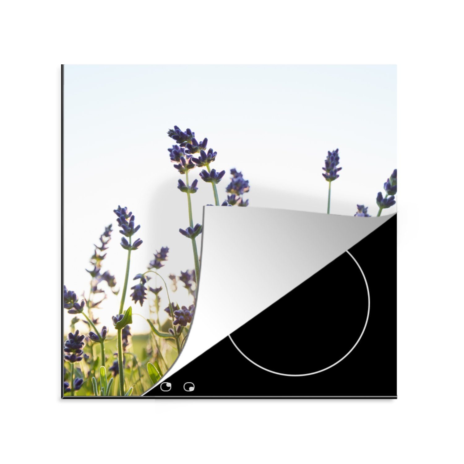 MuchoWow Herdblende-/Abdeckplatte Nahaufnahme von Lavendel bei Sonnenuntergang, Vinyl, (1 tlg), 78x78 cm, Ceranfeldabdeckung, Arbeitsplatte für küche