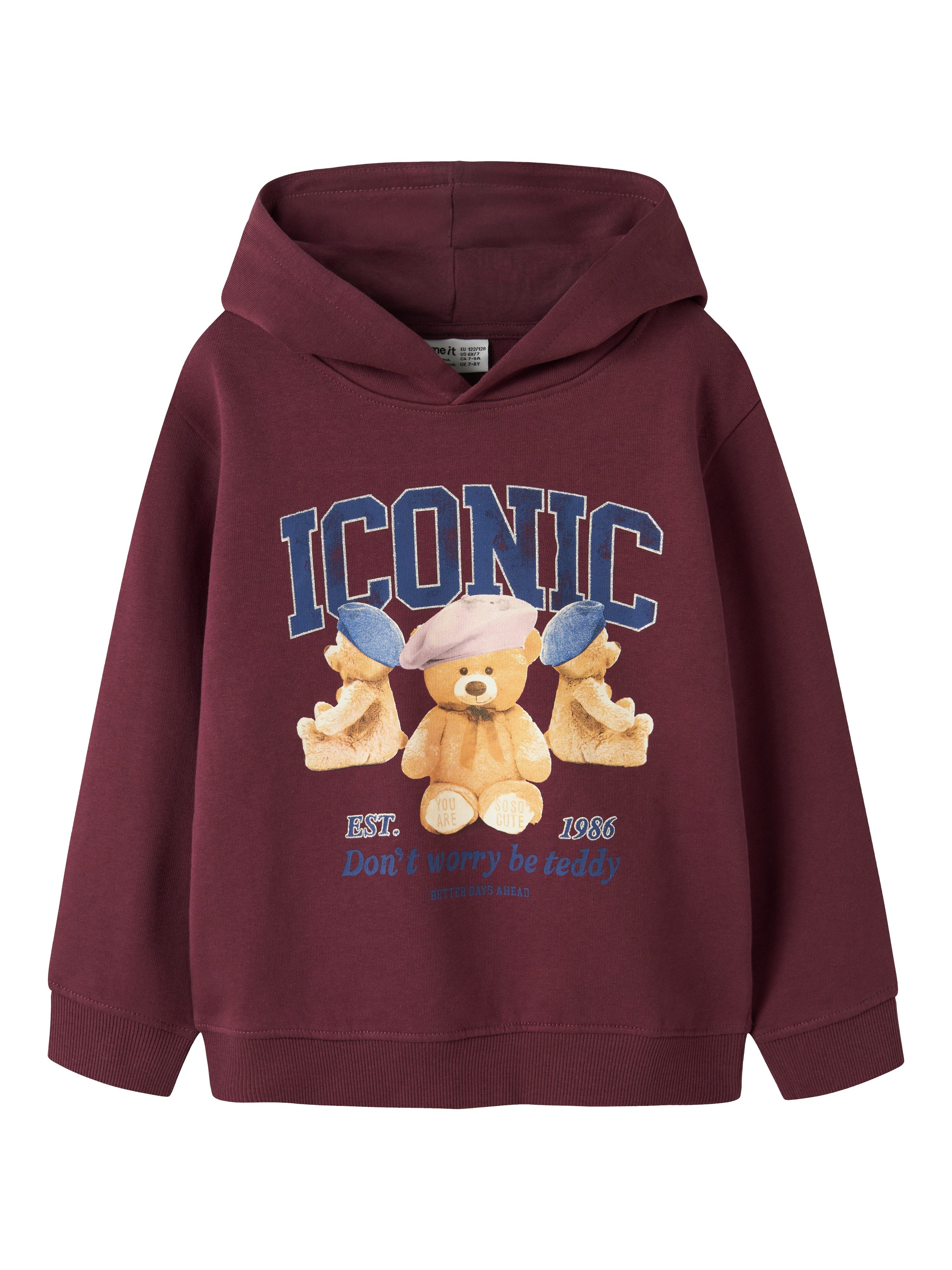 Hoodie NKFRYCCA LS NREG SWEAT WH BRU BOX