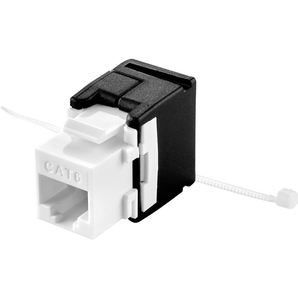 CAT6 Keystone-Modul, werkzeugfrei Netzwerk-Adapter