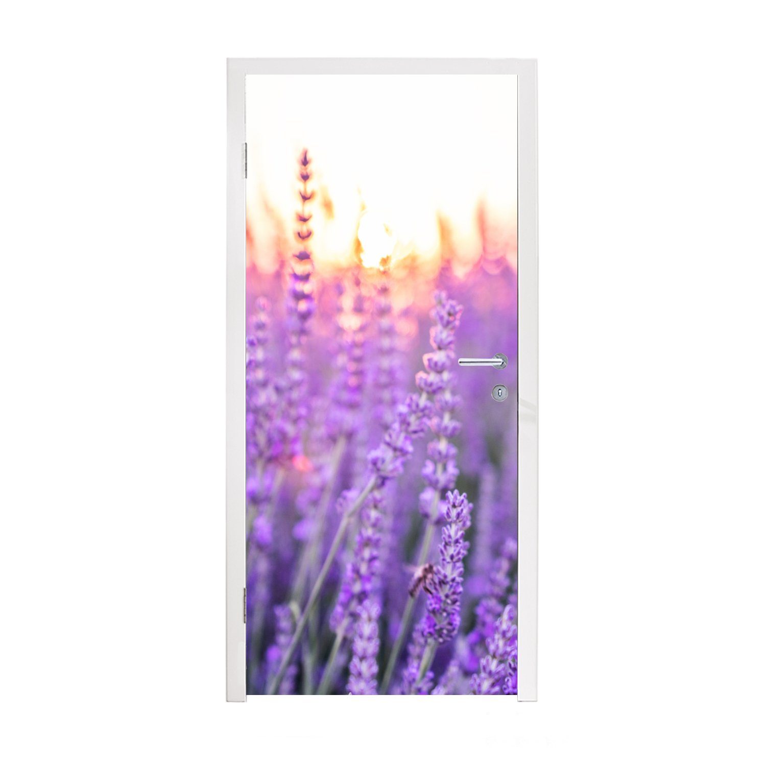 MuchoWow Türtapete Lavendel - Nahaufnahme - Lila - Blumen, Matt, bedruckt, (1 St), Fototapete für Tür, Türaufkleber, 75x205 cm