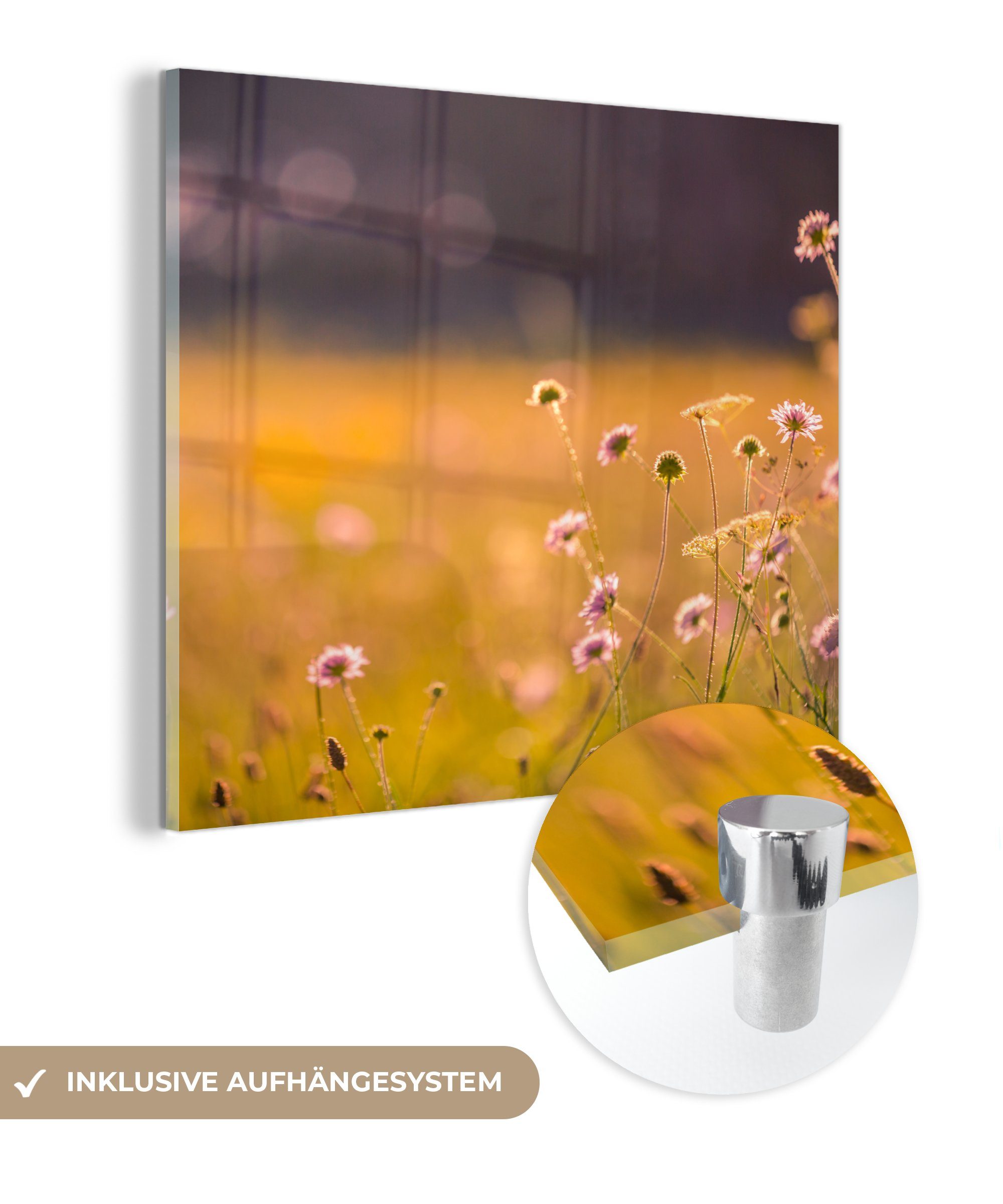 MuchoWow Acrylglasbild Blumen - Hell - Rosa, (1 St), Glasbilder - Bilder auf Glas Wandbild - Foto auf Glas - Wanddekoration