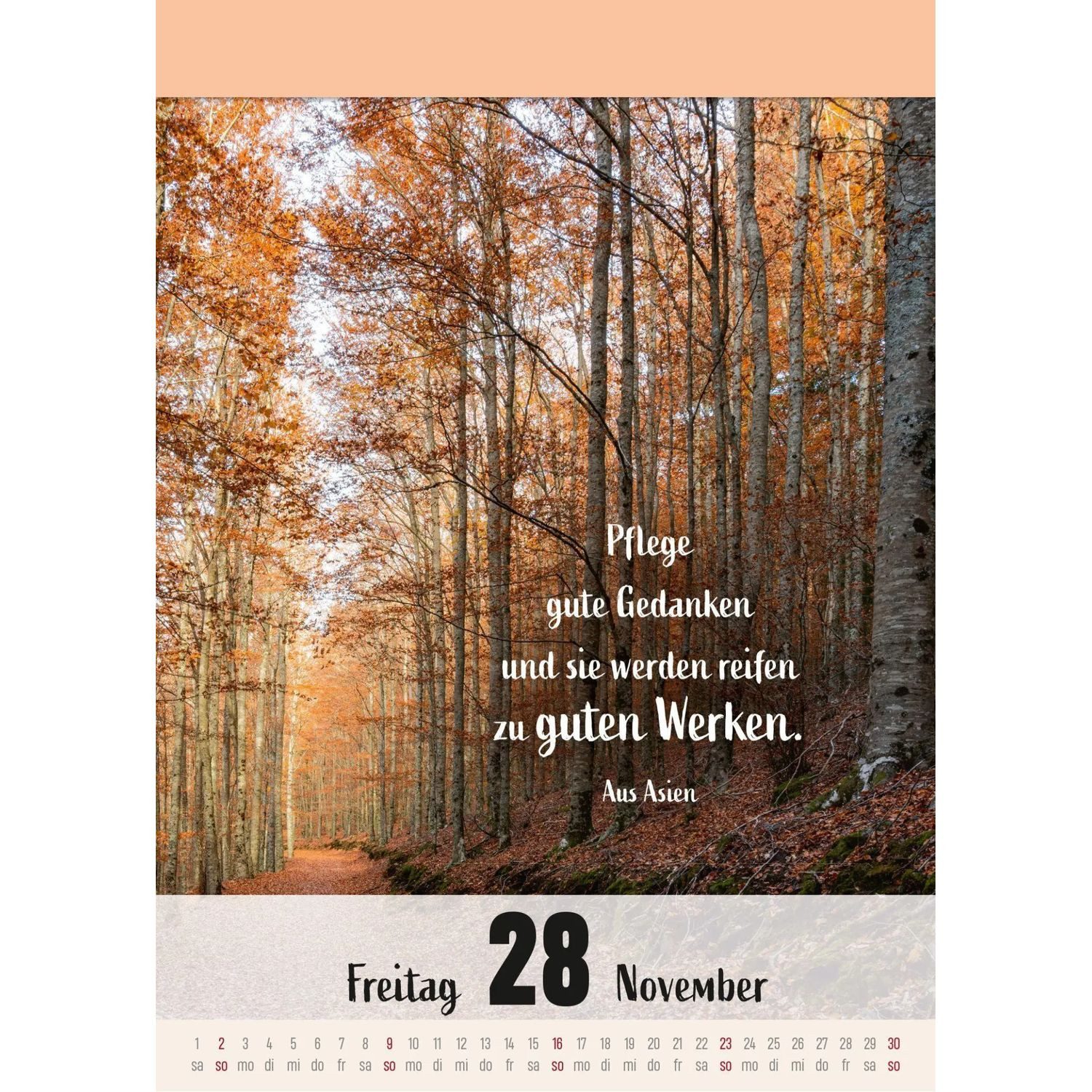 Lingen Abreißkalender Ein Jahr voller Achtsamkeit Abreißkalender 2027 - Abreißkalender... – Bild 3 von 3