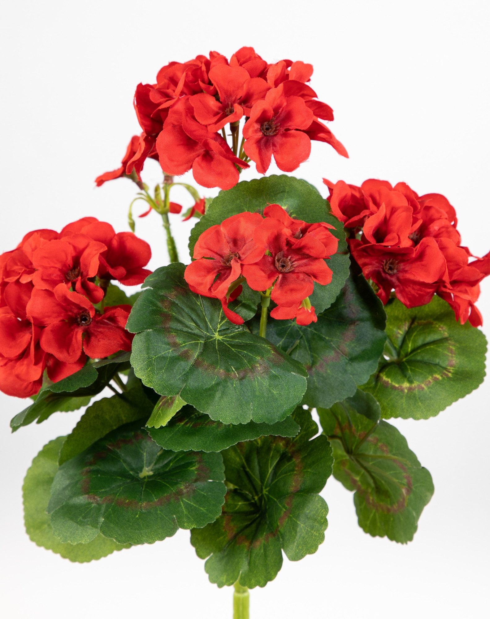 Kunstblume Geranie 32cm LM Kunstpflanzen künstliche Blumen Pflanzen Pelargonium, Seidenblumen Roß, Höhe 32 cm, Rot – Bild 3 von 5