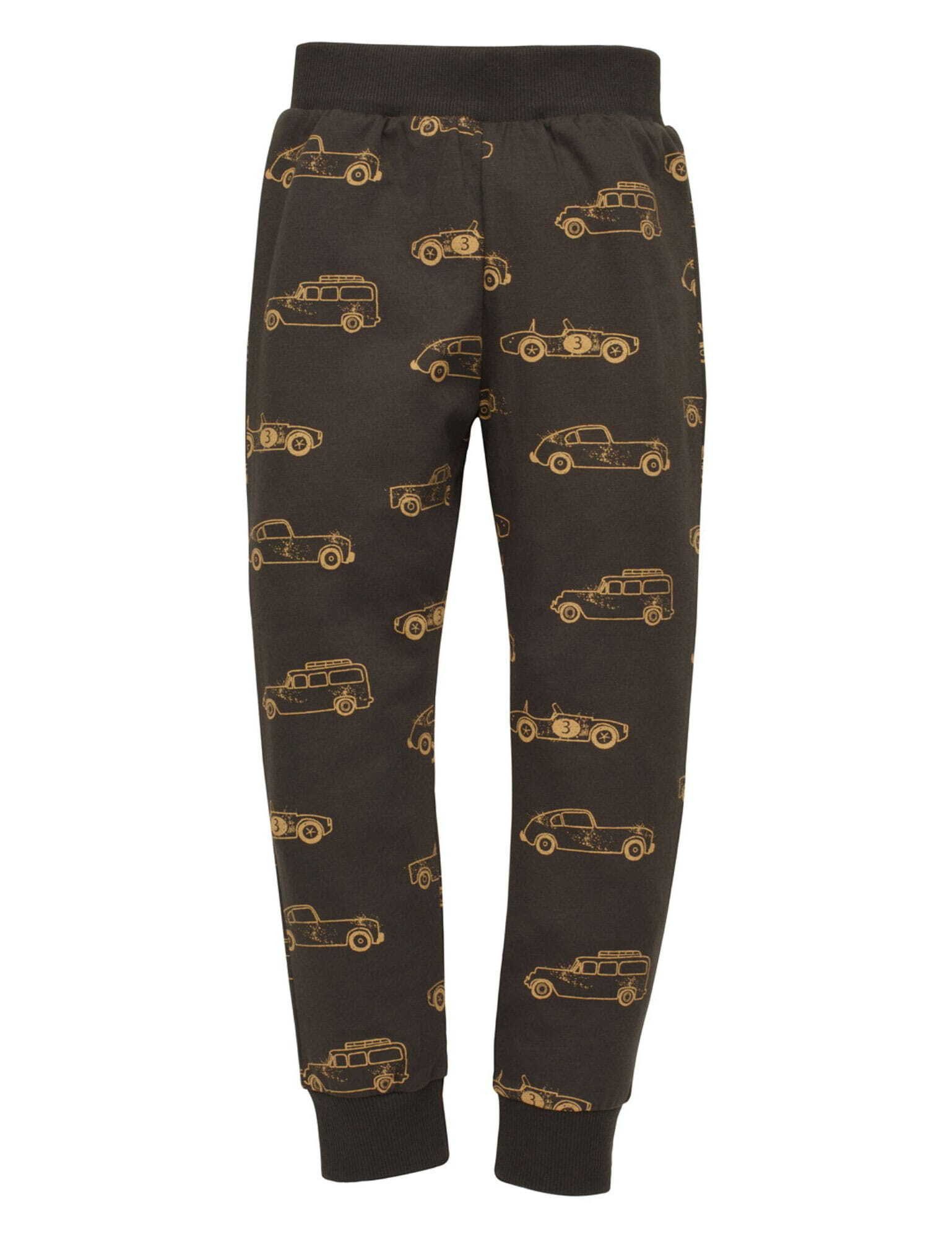 Stoffhose Hose Auto