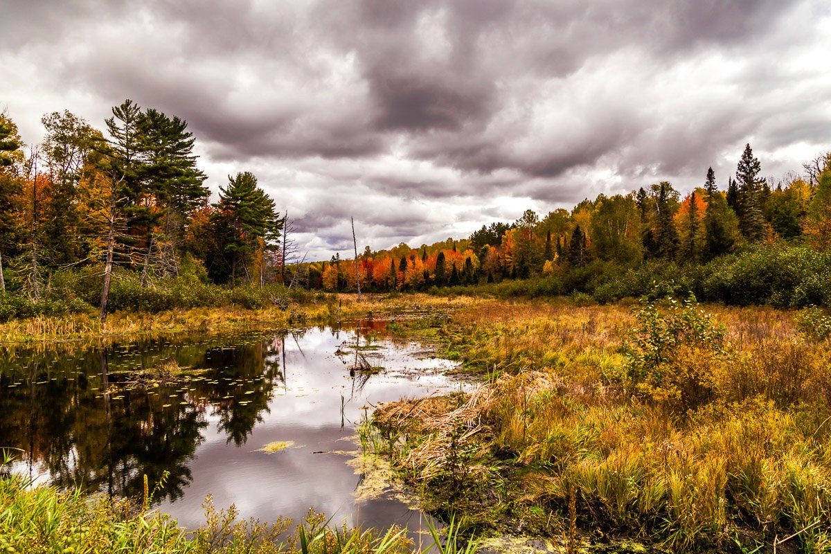 Fototapete Fluss