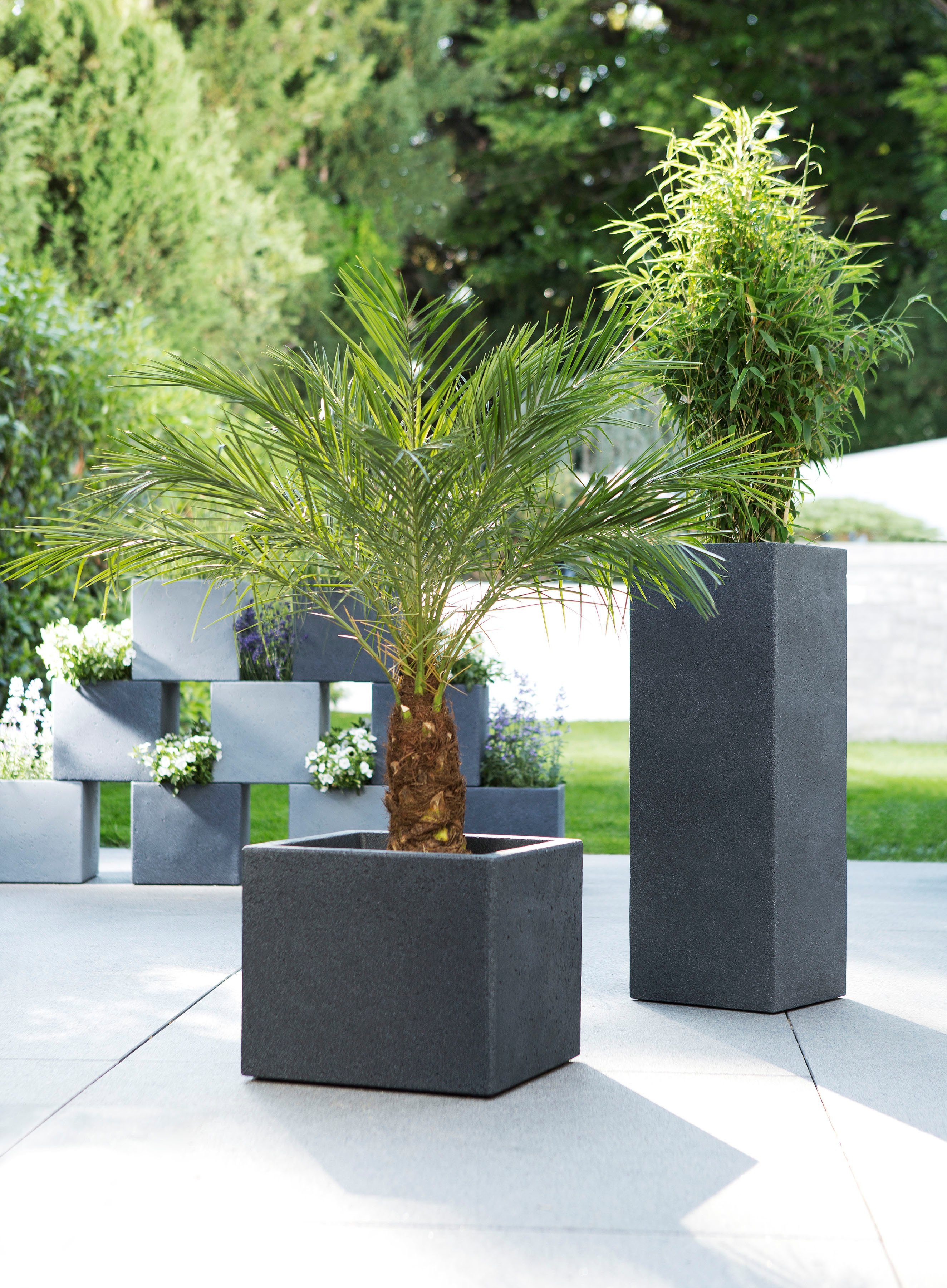 Scheurich Pflanzgefäß C-Cube High Ø 26 cm Stony  Black günstig online kaufen