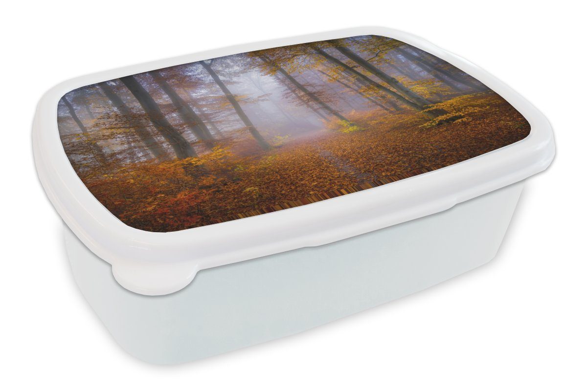 MuchoWow Lunchbox Weg durch den Wald - Herbst - Nebel - Waldweg - Bäume und Pflanzen -, Kunststoff, (2-tlg), Brotbox für Kinder und Erwachsene, Brotdose, für Jungs und Mädchen weiß