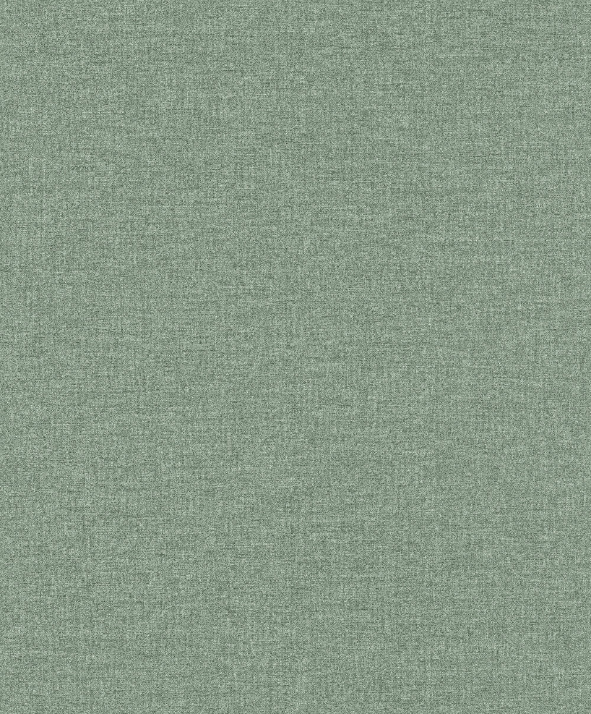 Rasch Vliestapete Vinyltapete Rasch Unis Grün-Grüngrau 555936