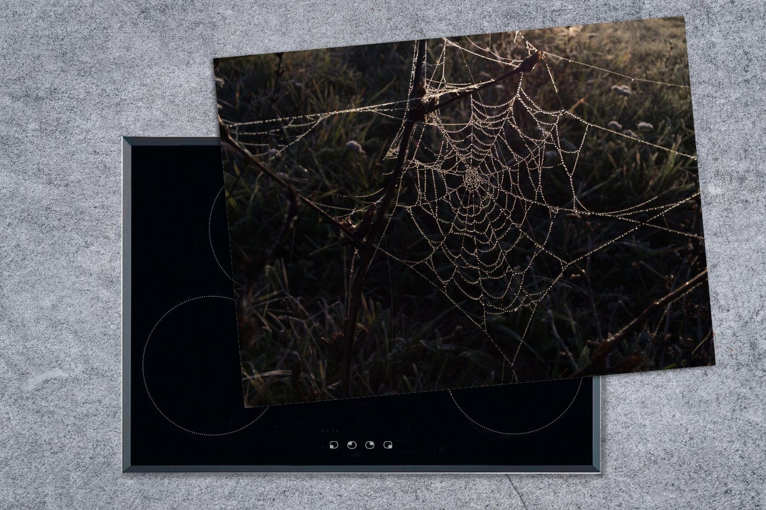 Spinnennetz, Tautropfen MuchoWow (1 Ceranfeldabdeckung Herdblende-/Abdeckplatte Vinyl, nutzbar, Mobile auf tlg), 70x52 cm, Arbeitsfläche