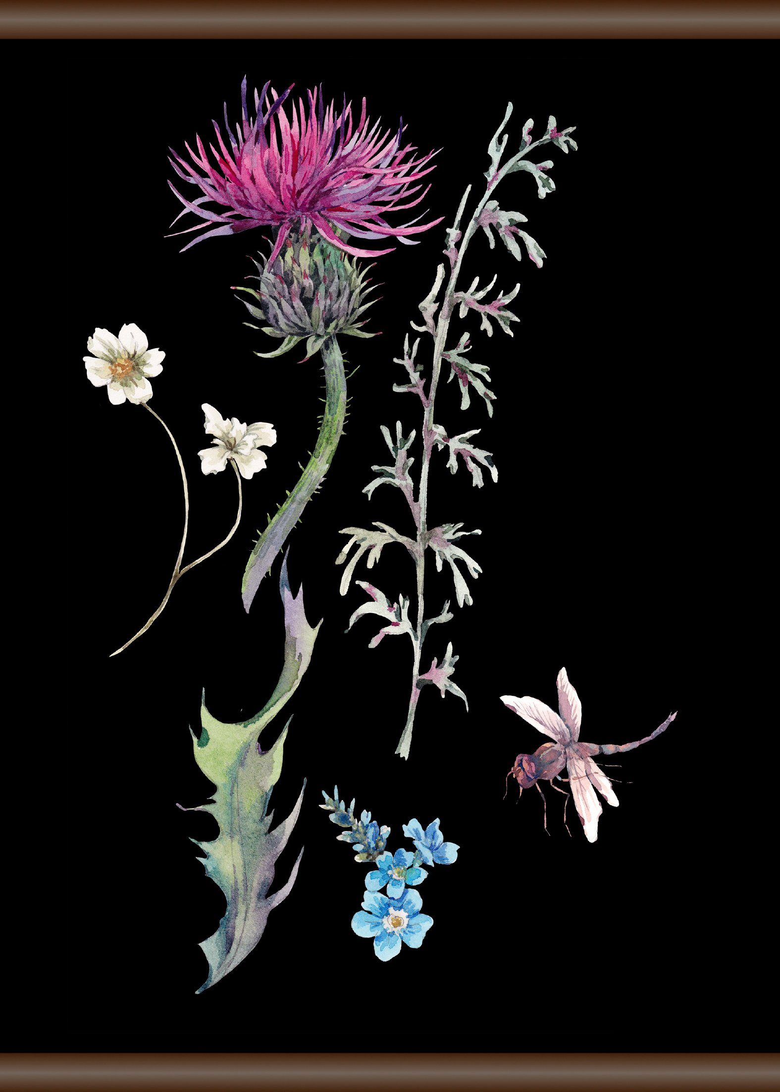 queence Leinwandbild Pflanzen und Libellen, 50x70 cm | Leinwandbilder