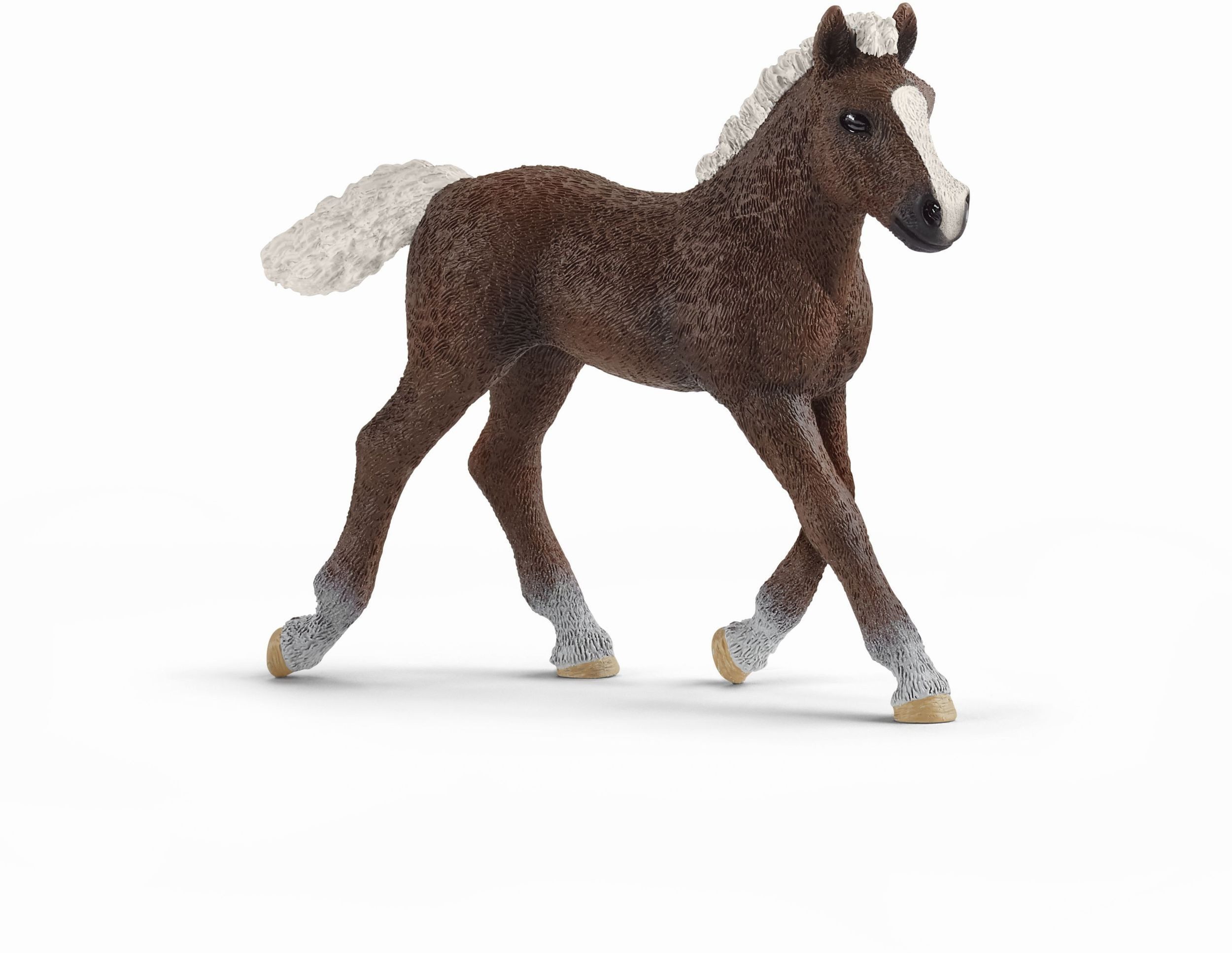 Schleich® Spielfigur Schleich - Farm World - Schwarzwälder Fohlen