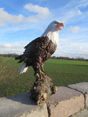 Fachhandel Plus Gartenfigur Adler Weißkopfseeadler auf Fels, (1 St), wetterbeständige Tierfigur
