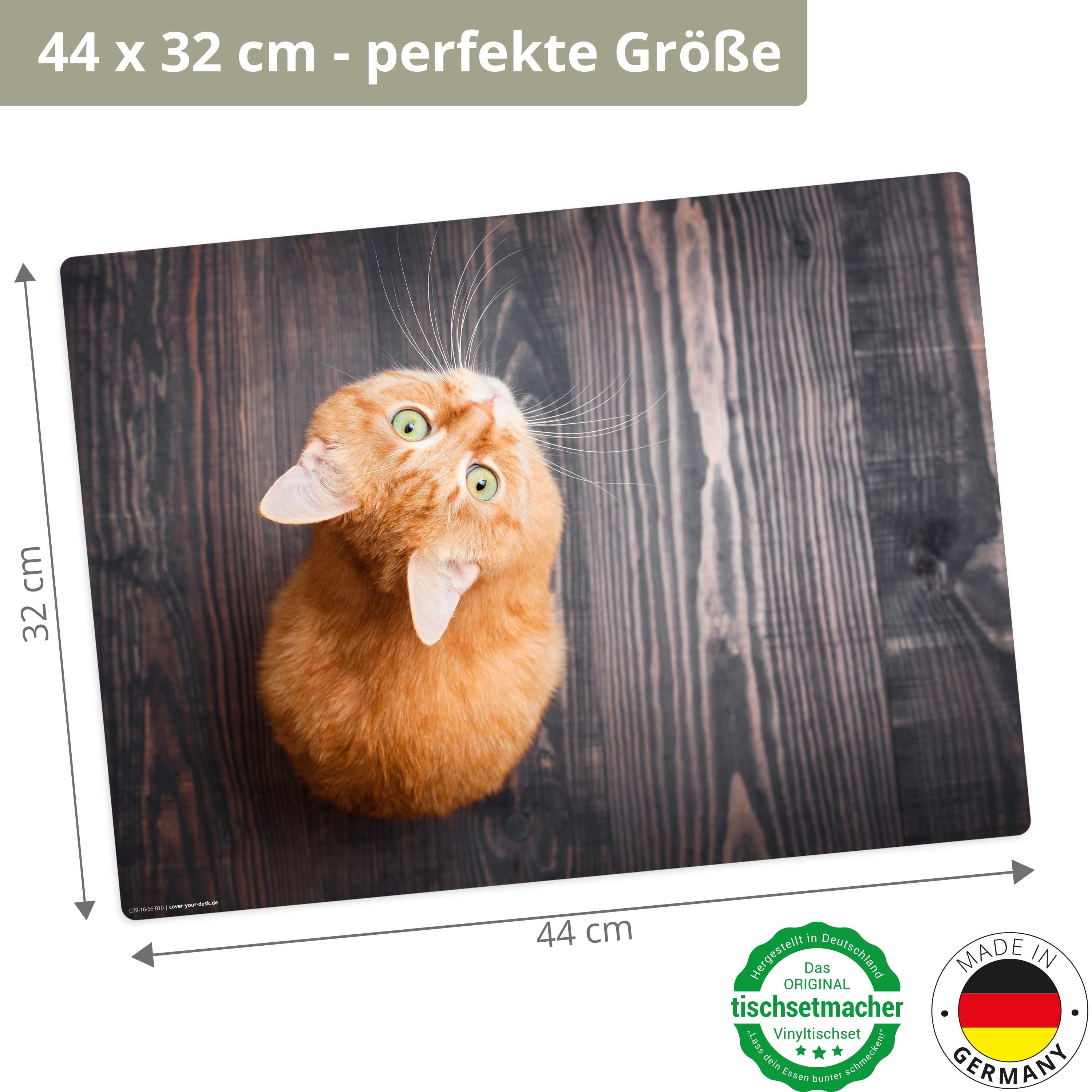 Platzset, Tischset,  Platzset abwaschbar - Tischsetmacher, BPA-frei), x - - Tischdekoration), 44 (Kunststoff cm (aus Kinder erstklassigem Katze, Made Vinyl rutschfeste für - 1-St., 32 Orange in Germany