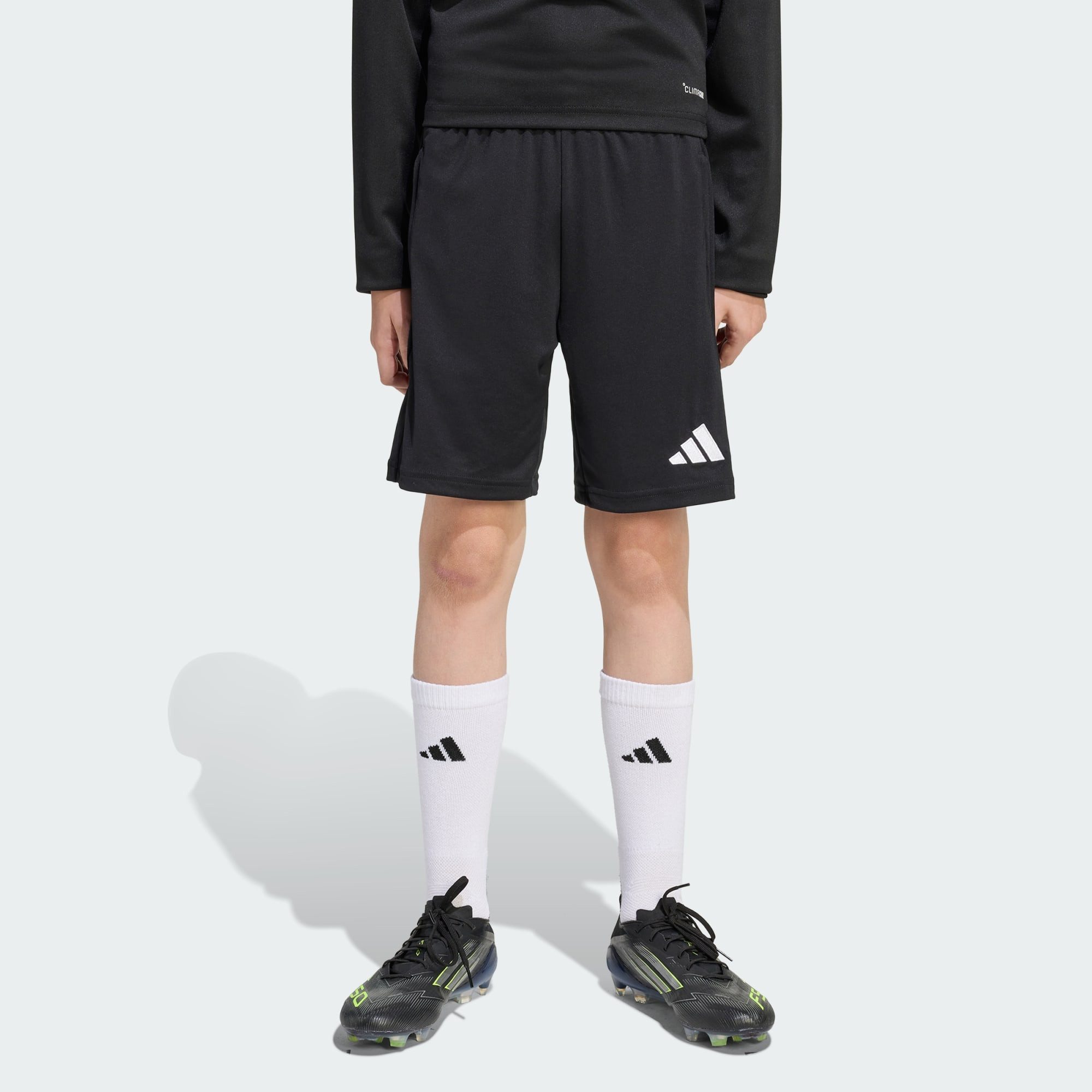 adidas Performance Shorts ENTRADA 26 KIDS TRAININGSSHORTS (1-tlg)