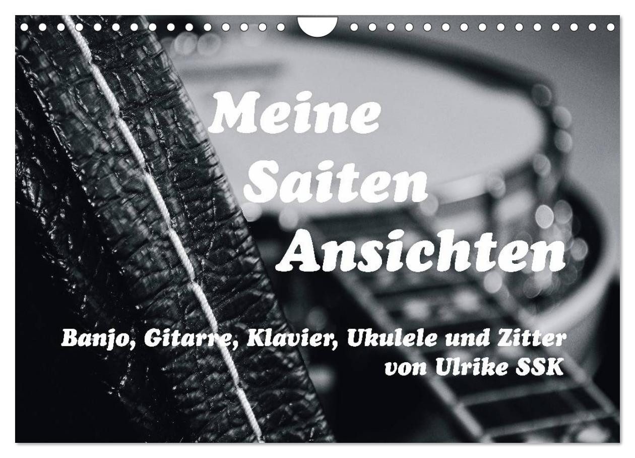 CALVENDO Wandkalender Meine Saiten Ansichten - Banjo, Gitarre, Klavier, Ukulele und Zitter v