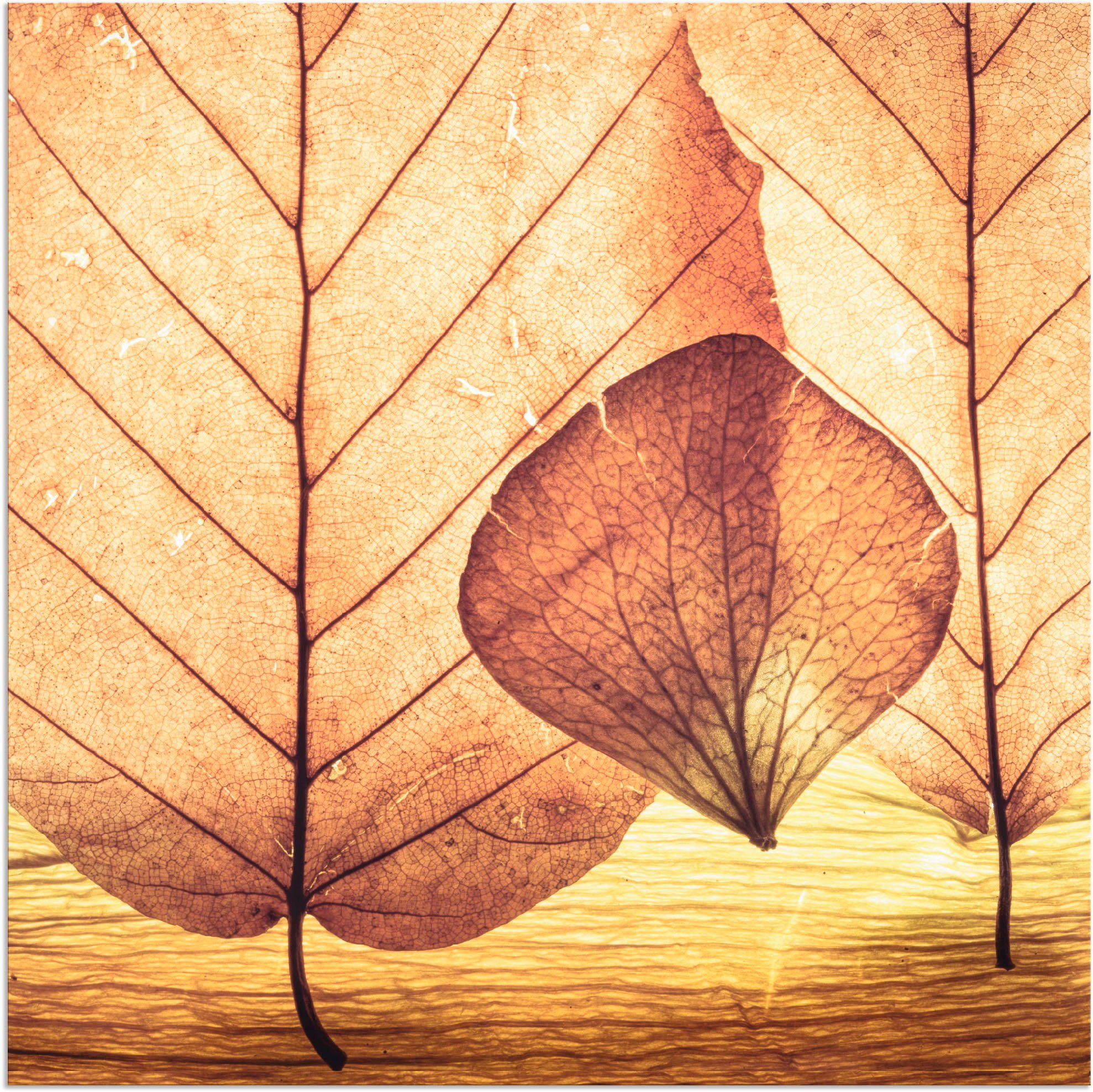 Artland Wandbild Losgelöst, Blätter (1 versch. oder Leinwandbild, Größen als in St), Alubild, Poster Wandaufkleber