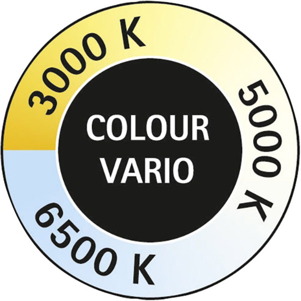 Maul Maul vario MAULpearly colour 6 LED-Schreibtischleuchte 8201702 Tischleuchte EEK W