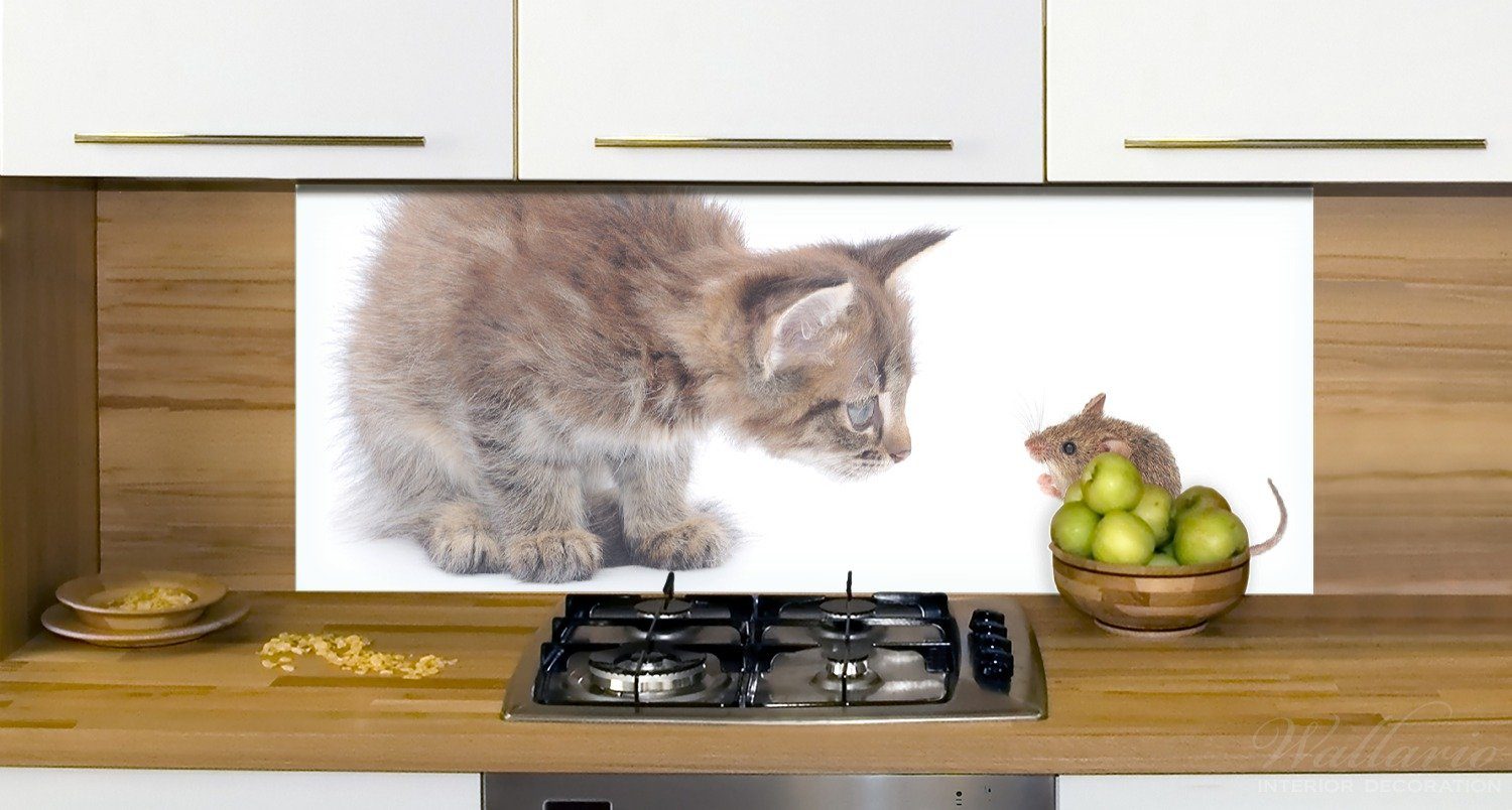weißer (1-tlg) Maus Küchenrückwand - Katze Spielen beim und Wallario Hintergrund,