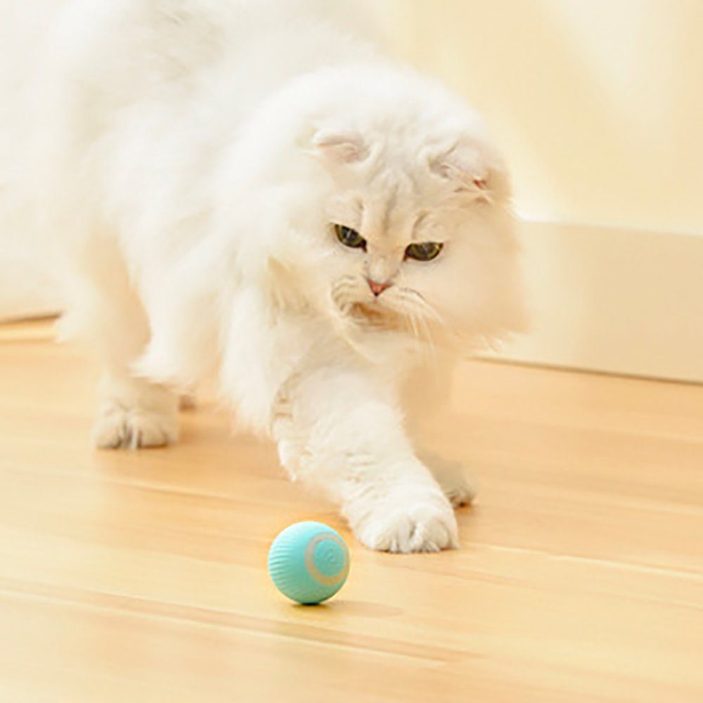 mit Katzenspielzeug, Katzenspielrad Elektrischer Tier-Rasselball Katzenball LED-Licht Orbeet