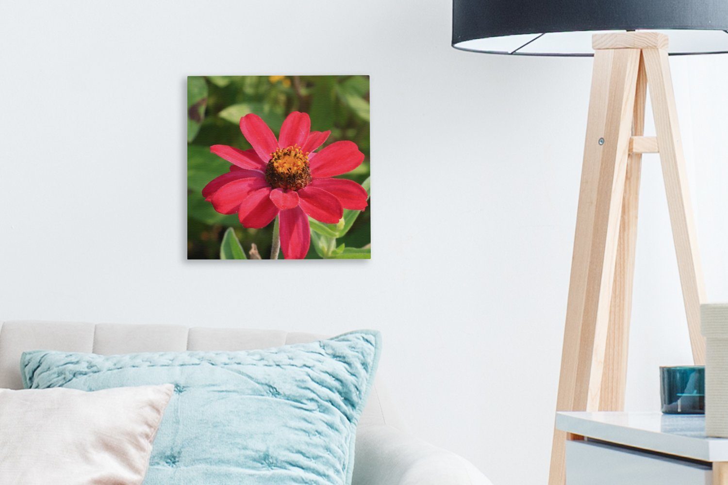 OneMillionCanvasses® Leinwandbild Rote Bilder für Wohnzimmer Leinwand Schlafzimmer in St), Zinnienblüte Blüte, (1