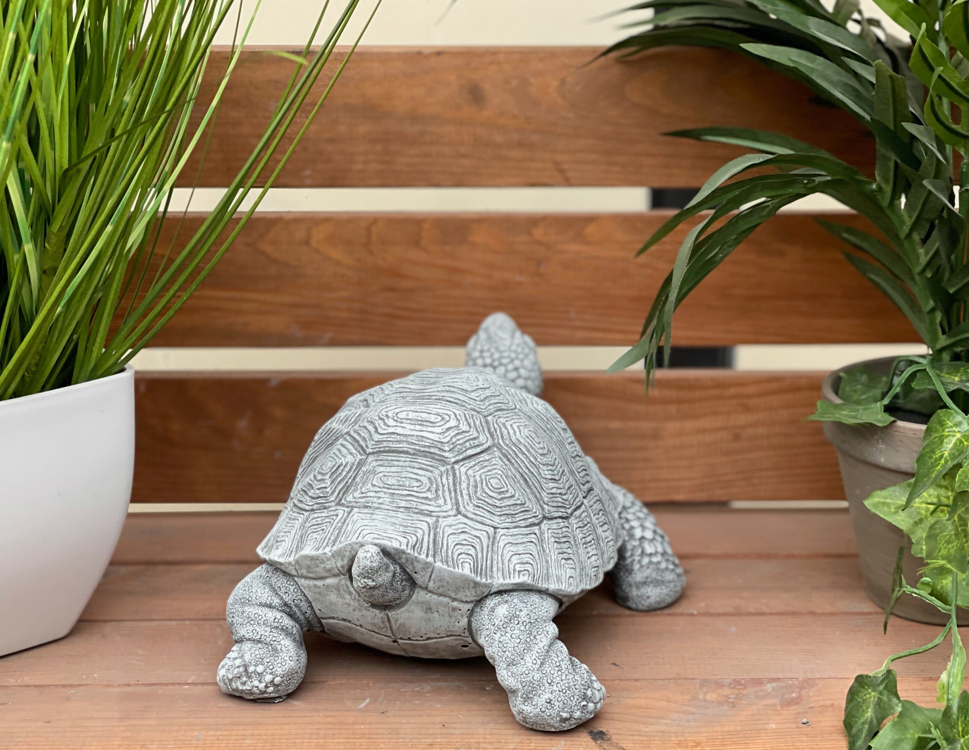 Stone and Style Gartenfigur Frostfeste Steinfigur Schildkröte Tortie – Bild 5 von 5