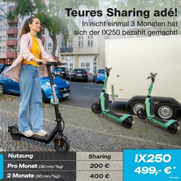 Bluewheel Electromobility E-Scooter IX250, 350,00 W, 20,00 km/h, mit Straßenzulassung, Elektroroller mit App und Duales Bremssystem