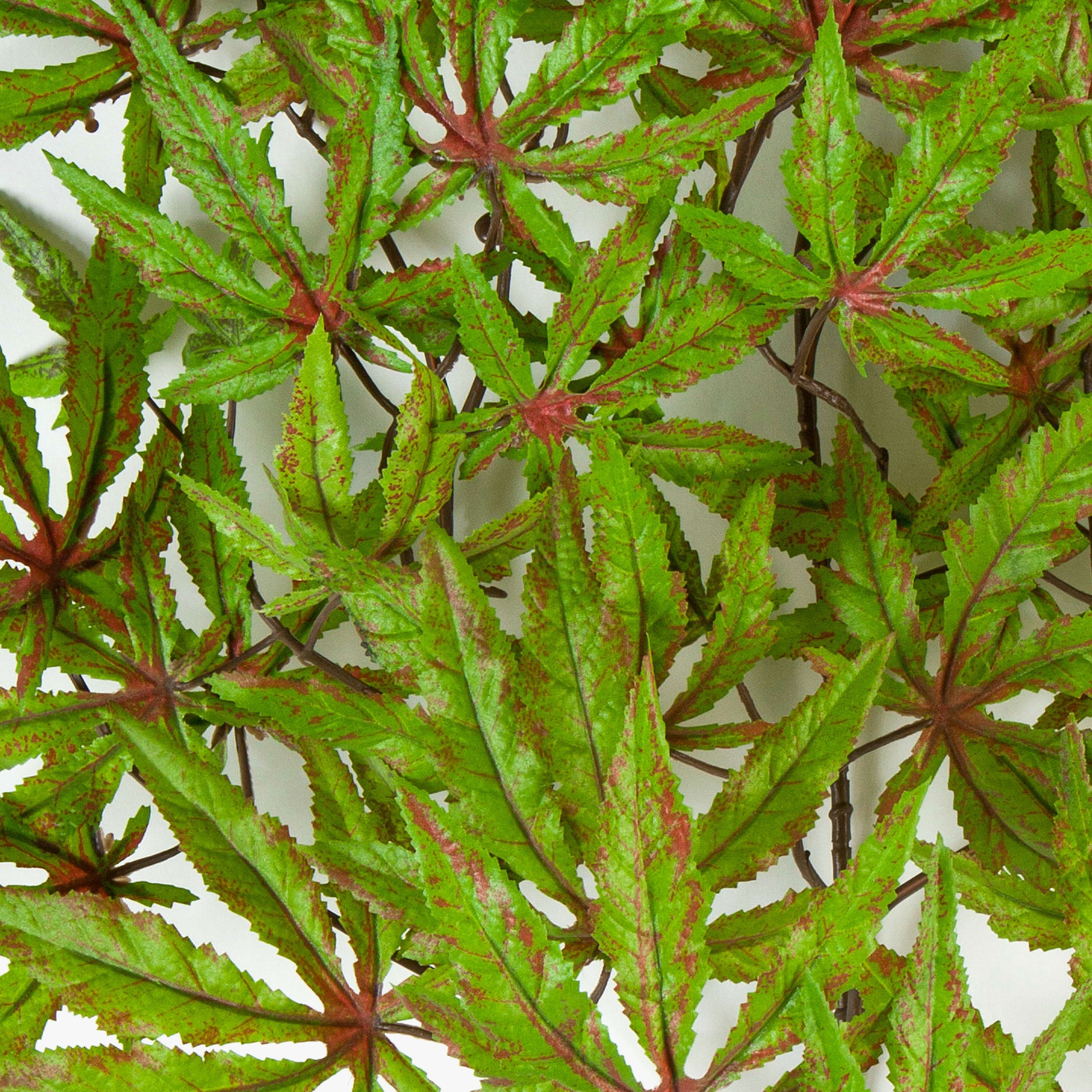 Kunstzweig Japanischer Ahorn Zweig, grün-rot, 60cm - Kunstzweig Ahorn (Japanischer Ahorn), artplants, Höhe 60.0 cm