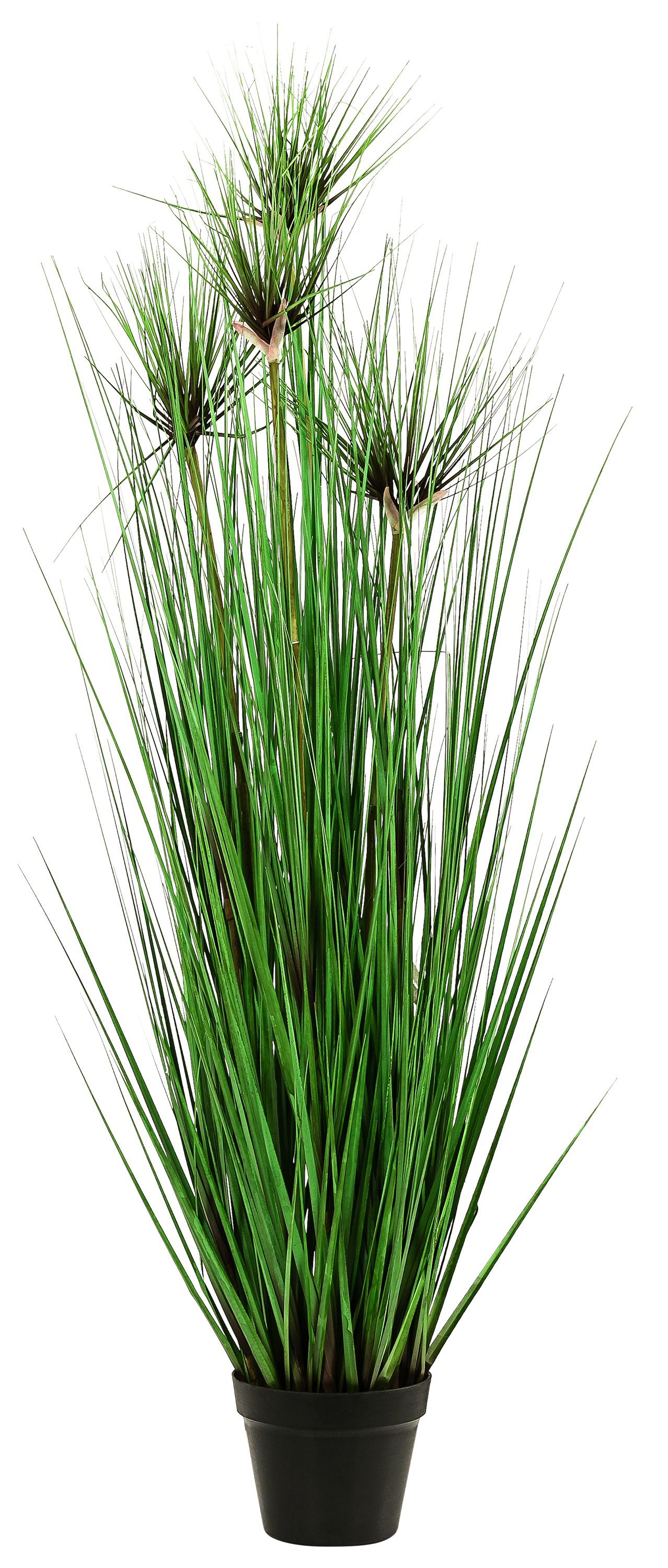 Künstliche Zimmerpflanze »Gras im schwarzen Topf, Kunststoff