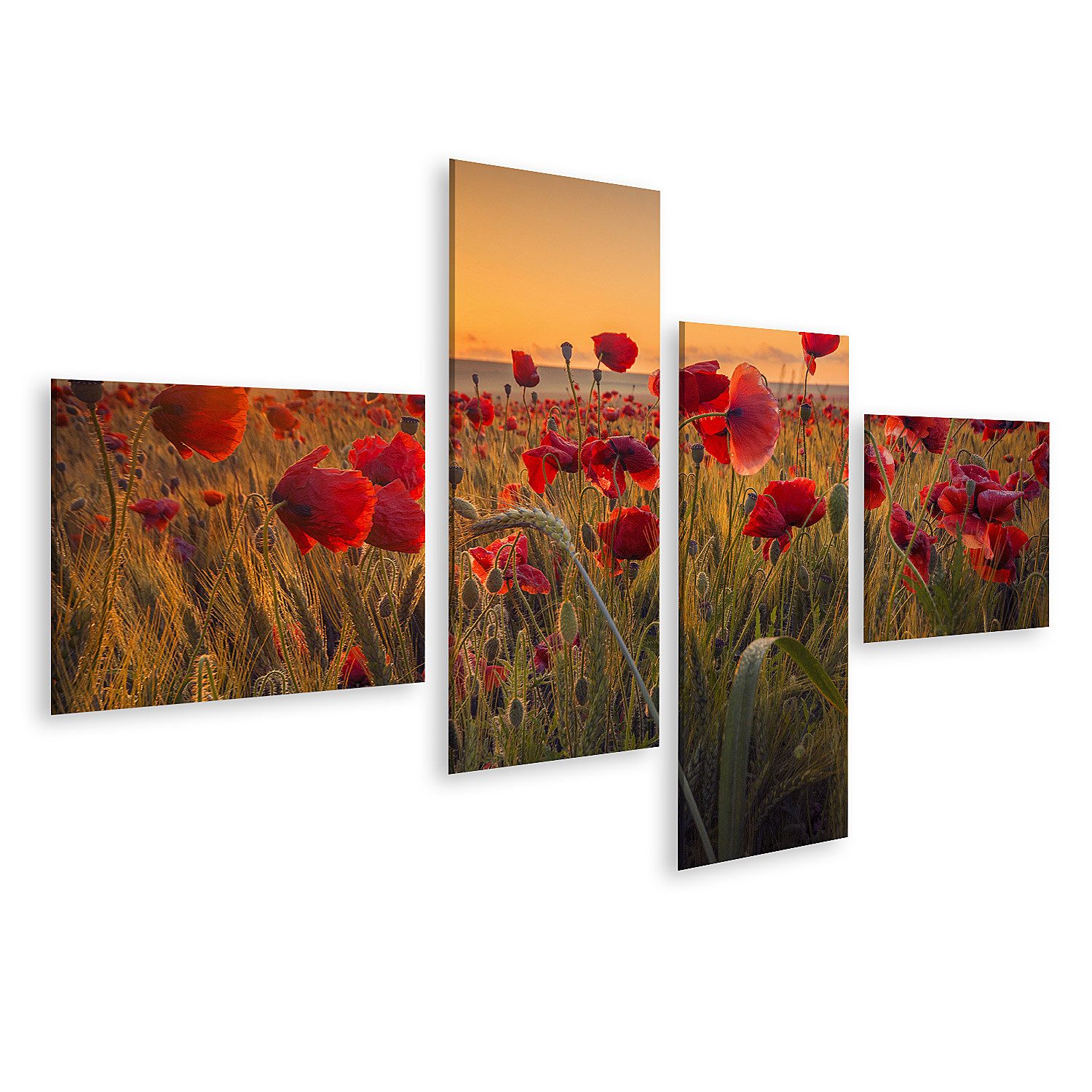 Leinwandbild Mohn Weizenfeld Schöne Mohn Weizenfeld Sonnenaufgang Tautrop Bilder