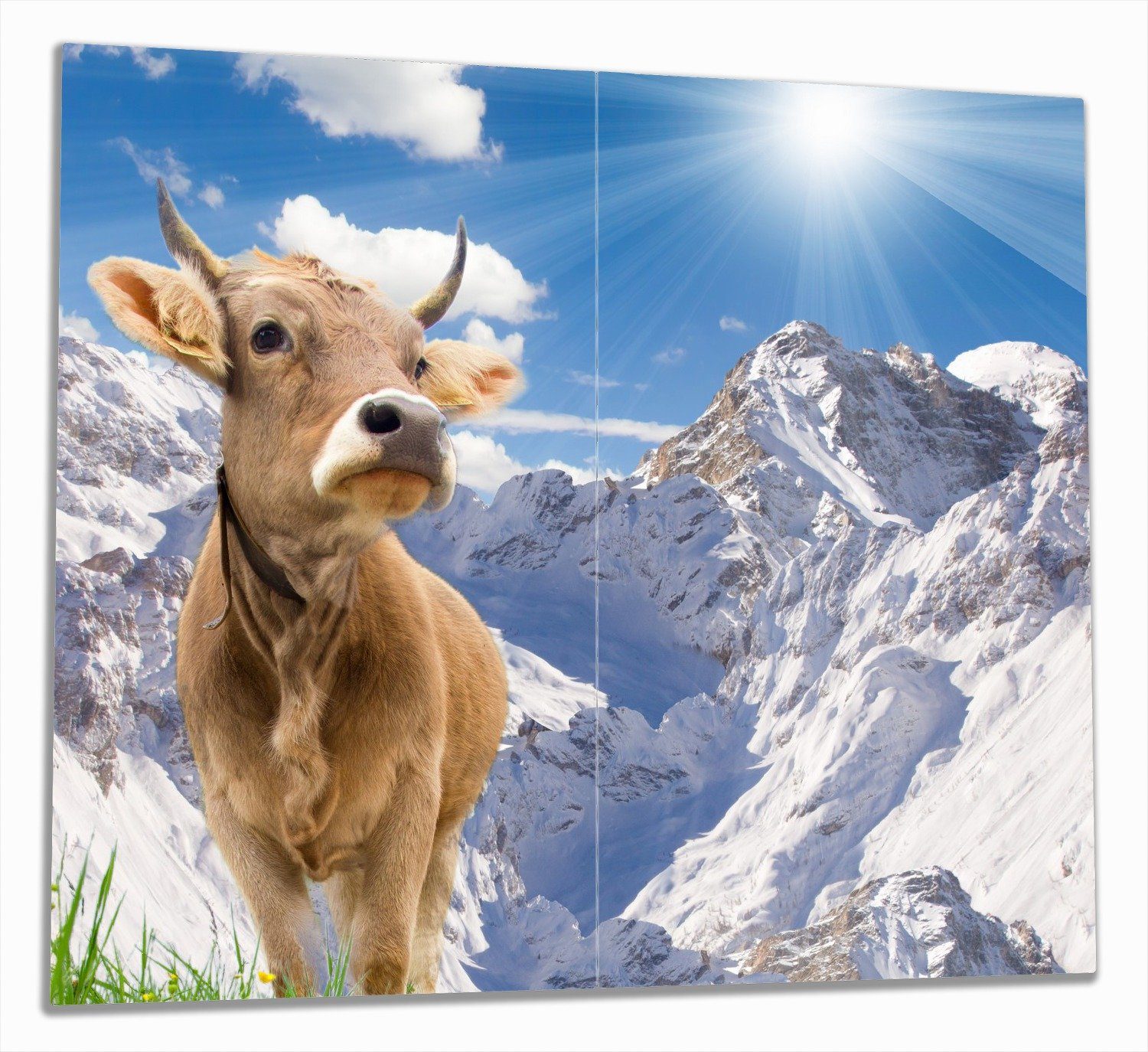 Herd-Abdeckplatte (Glasplatte, 5mm Größen tlg., ESG-Sicherheitsglas, inkl. 2 Wallario in verschiedene Alpen, Noppen), Sonnenschein Kuh den im