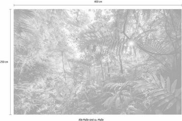 Komar Vliestapete Into The Jungle, (1 St), 400x250 cm (Breite x Höhe), Vliestapete, 100 cm Bahnbreite