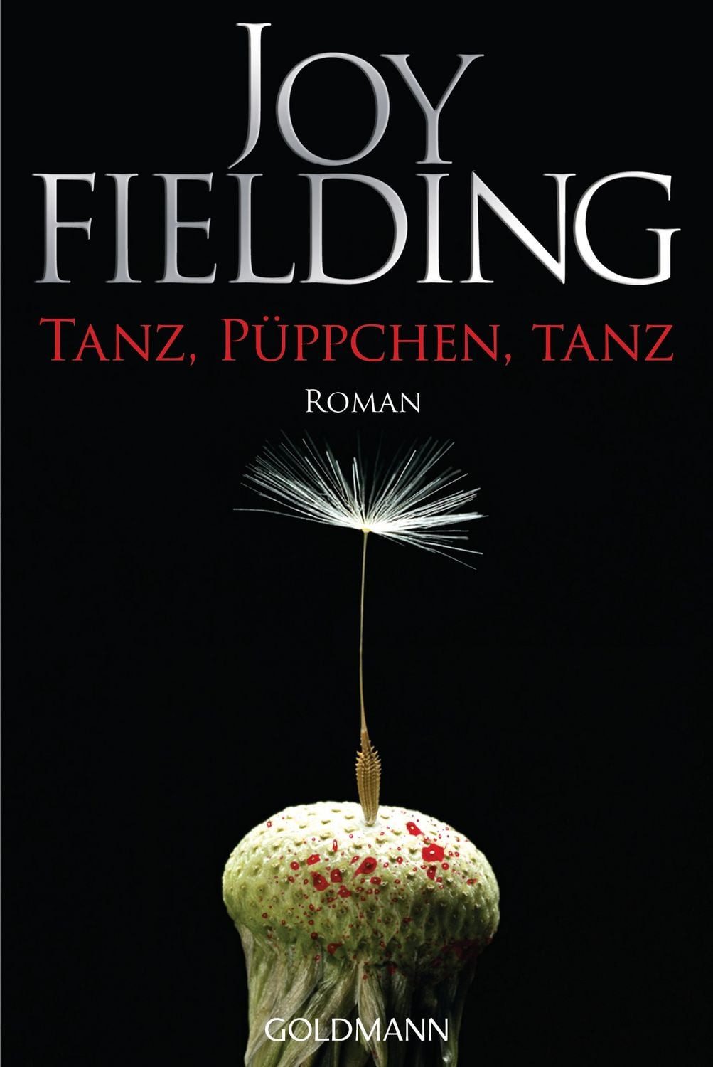 Tanz, Püppchen, tanz / Joy Fielding, Roman