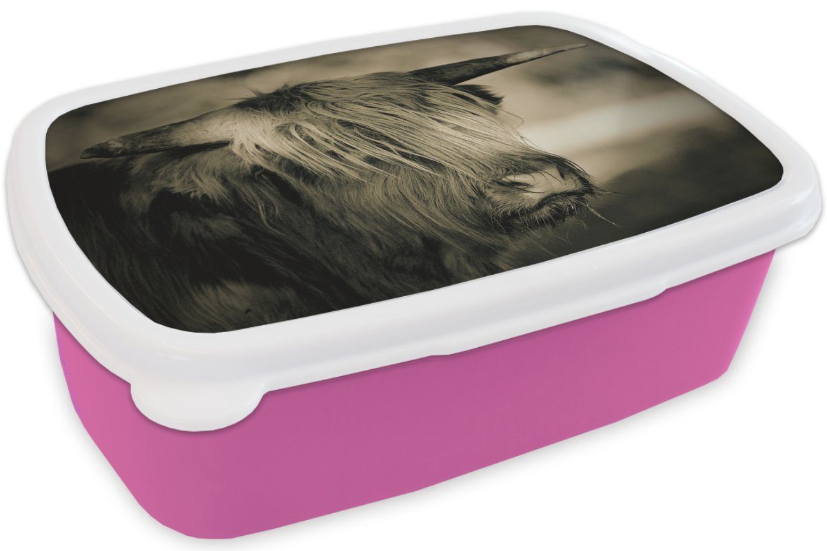 Brotdose Kunststoff, - Schottischer Haare, (2-tlg), für Brotbox Tiere MuchoWow rosa Snackbox, Lunchbox Kunststoff Kinder, Highlander Mädchen, - Erwachsene,