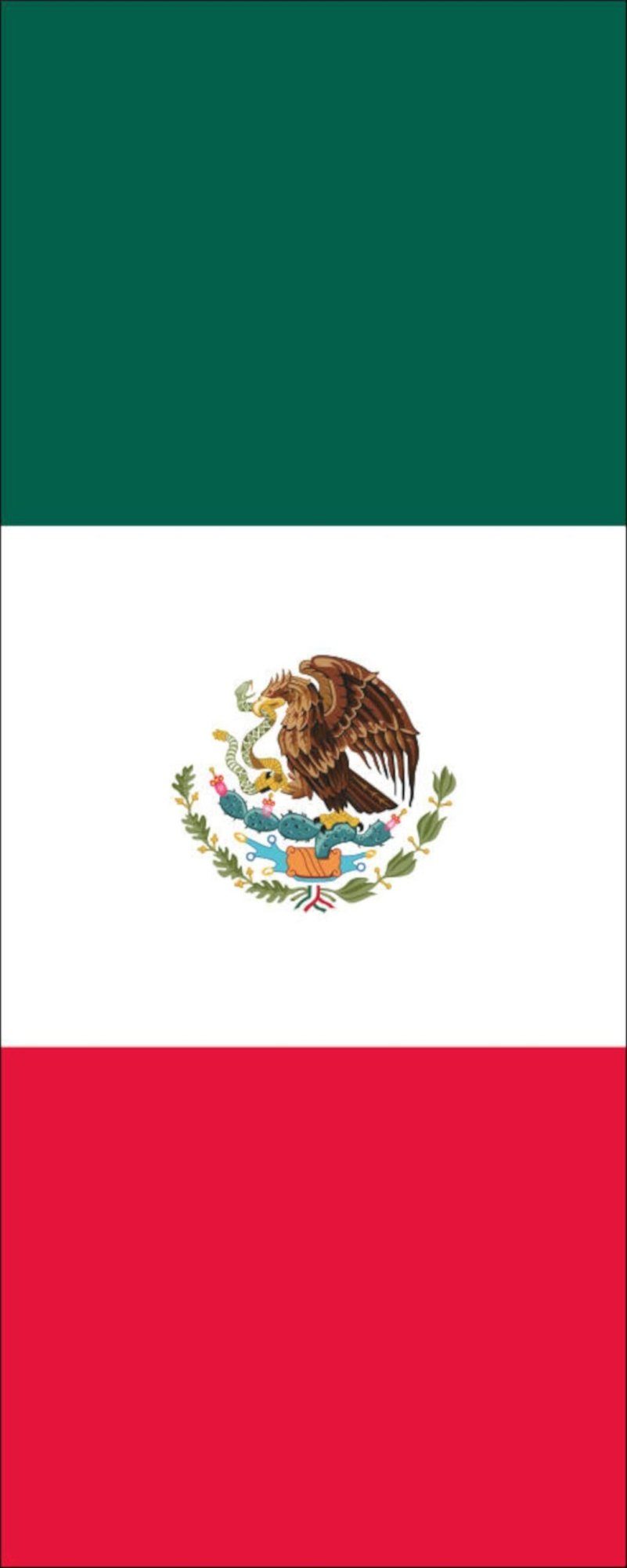 120 Mexiko flaggenmeer Flagge g/m² Hochformat