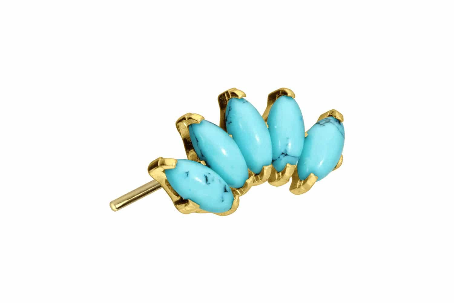 PIERCINGLINE Piercing-Set Titan Aufsatz mit Push günstig online kaufen