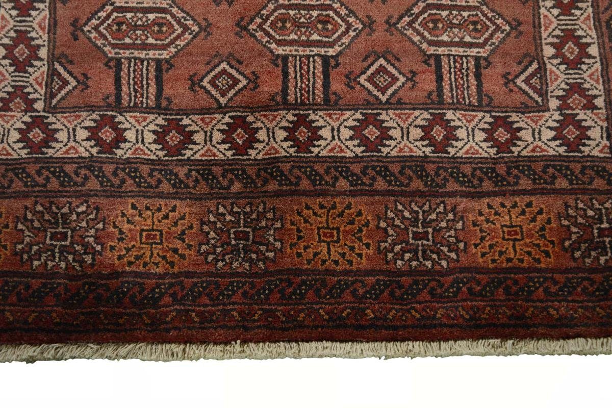 Orientteppich Trading, Turkaman / 6 Handgeknüpfter 154x294 Perserteppich Nain rechteckig, mm Orientteppich Höhe: Läufer,