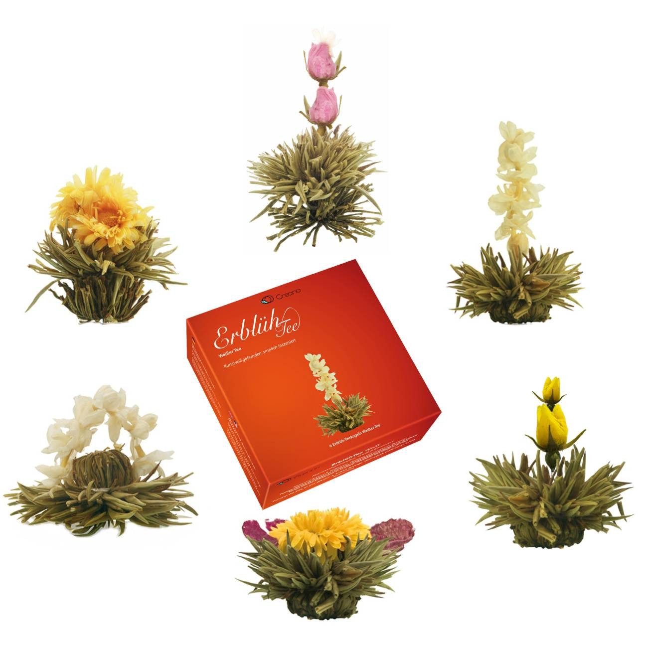 Creano Tee „ErblühTee“ in edler Geschenkbox, Weißtee (6 verschiedene Sorten), 1 x 6 St.
