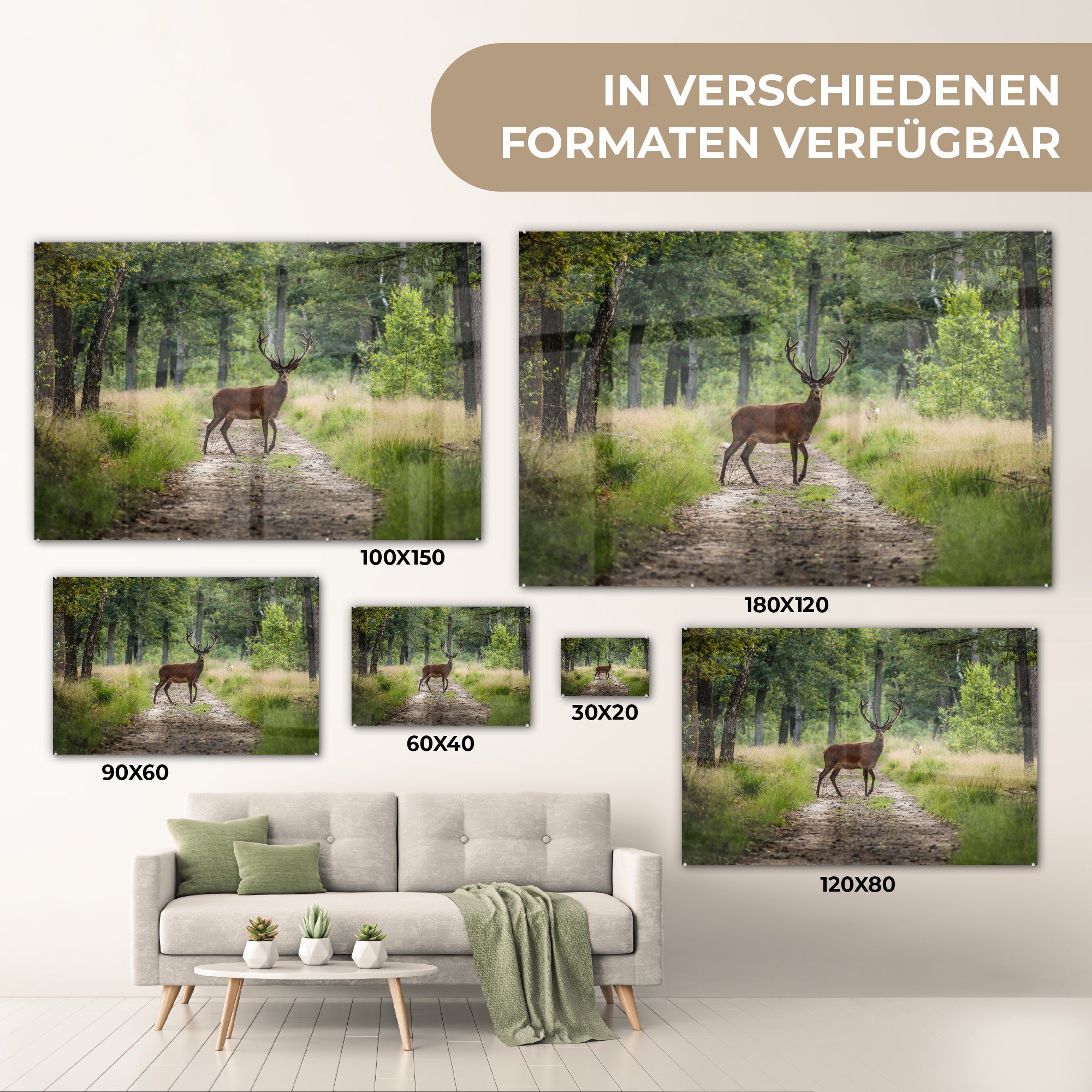 MuchoWow Acrylglasbild Wald - Hirsche Wohnzimmer Acrylglasbilder & - St), (1 Schlafzimmer Bäume