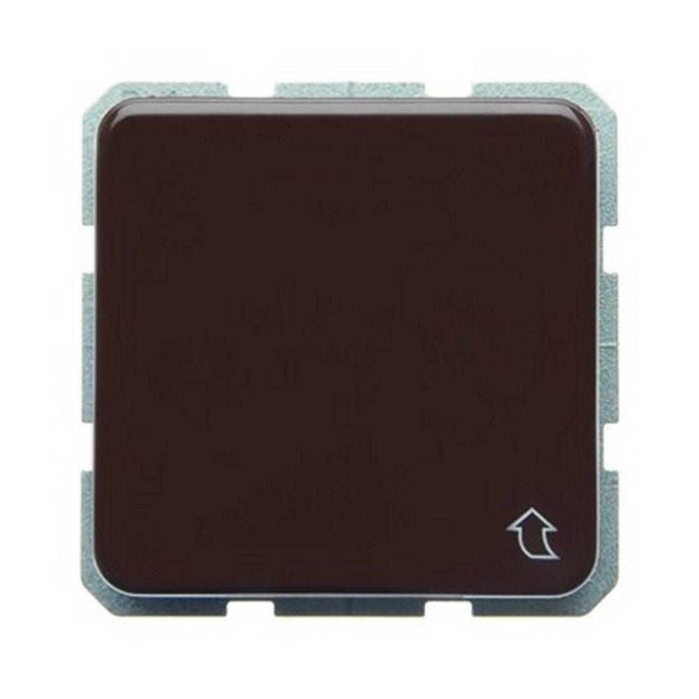 Berker Unterputz-Steckdose, 1fach braun glänzend Unterputz horizontal/vertikal m. Klappdeckel
