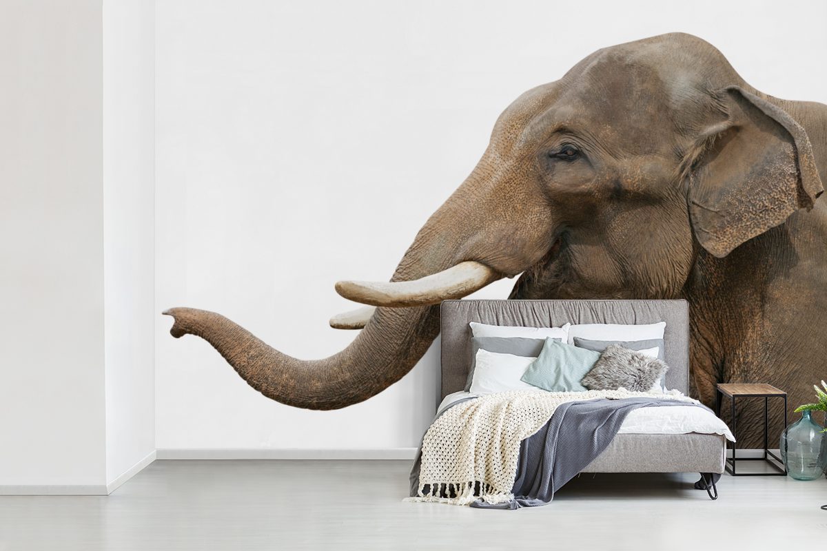 MuchoWow Fototapete Elefant Zähne Wohnzimmer, bedruckt, - für Weiß, Kinderzimmer, Wallpaper Schlafzimmer, Matt, - St), Vinyl Tapete (6