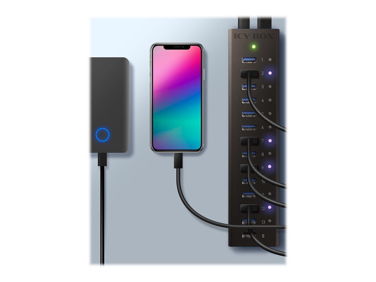 Icy Box USB-HUB USB 3.0 13 ports (IB-AC6113) (Gebraucht) in Bern für Icy Box USB-HUB USB 3.0 13 ports (IB-AC6113) (Gebraucht) in Bern für