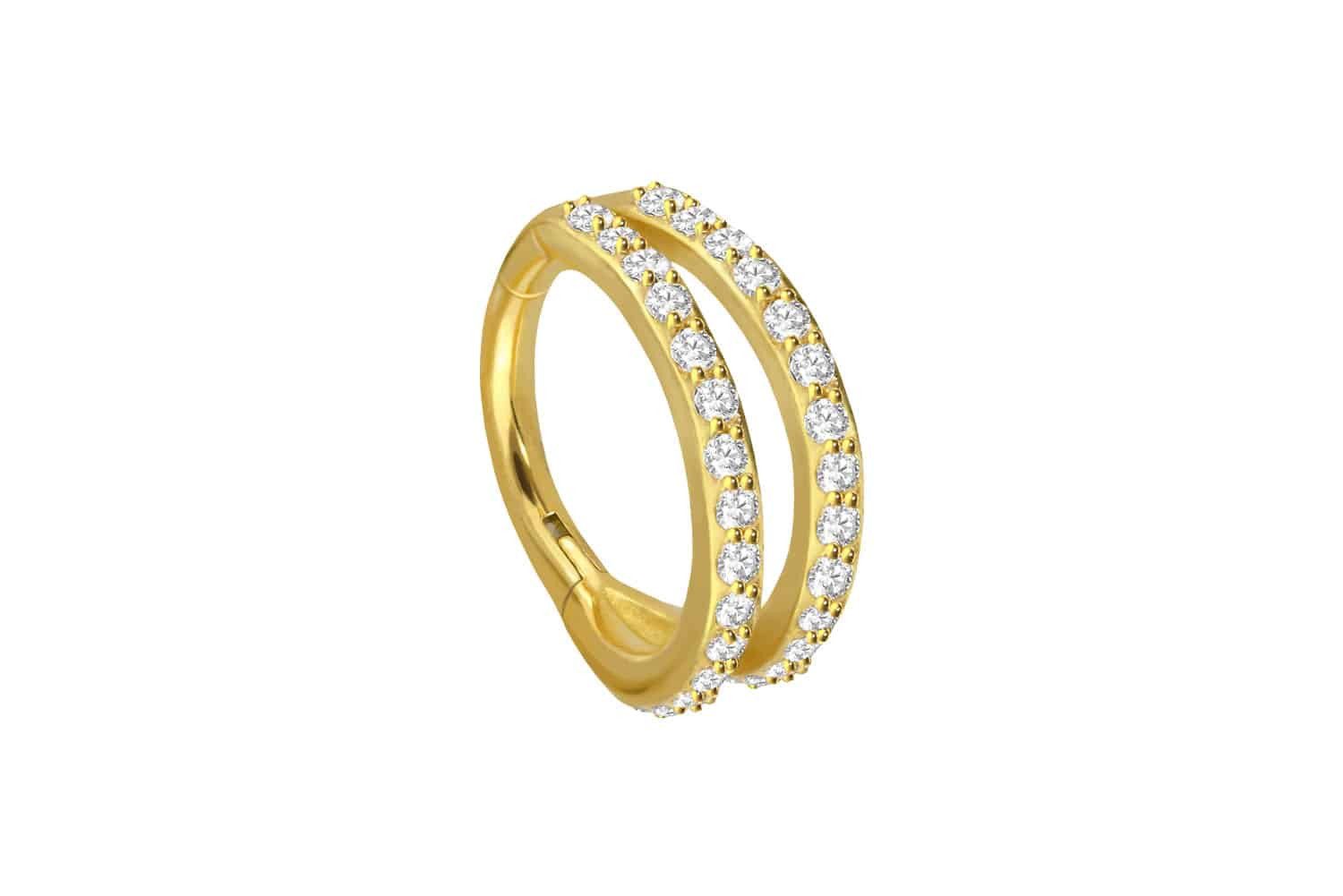PIERCINGLINE Nasenpiercing Chirurgenstahl Segmentring Clicker 2 günstig online kaufen
