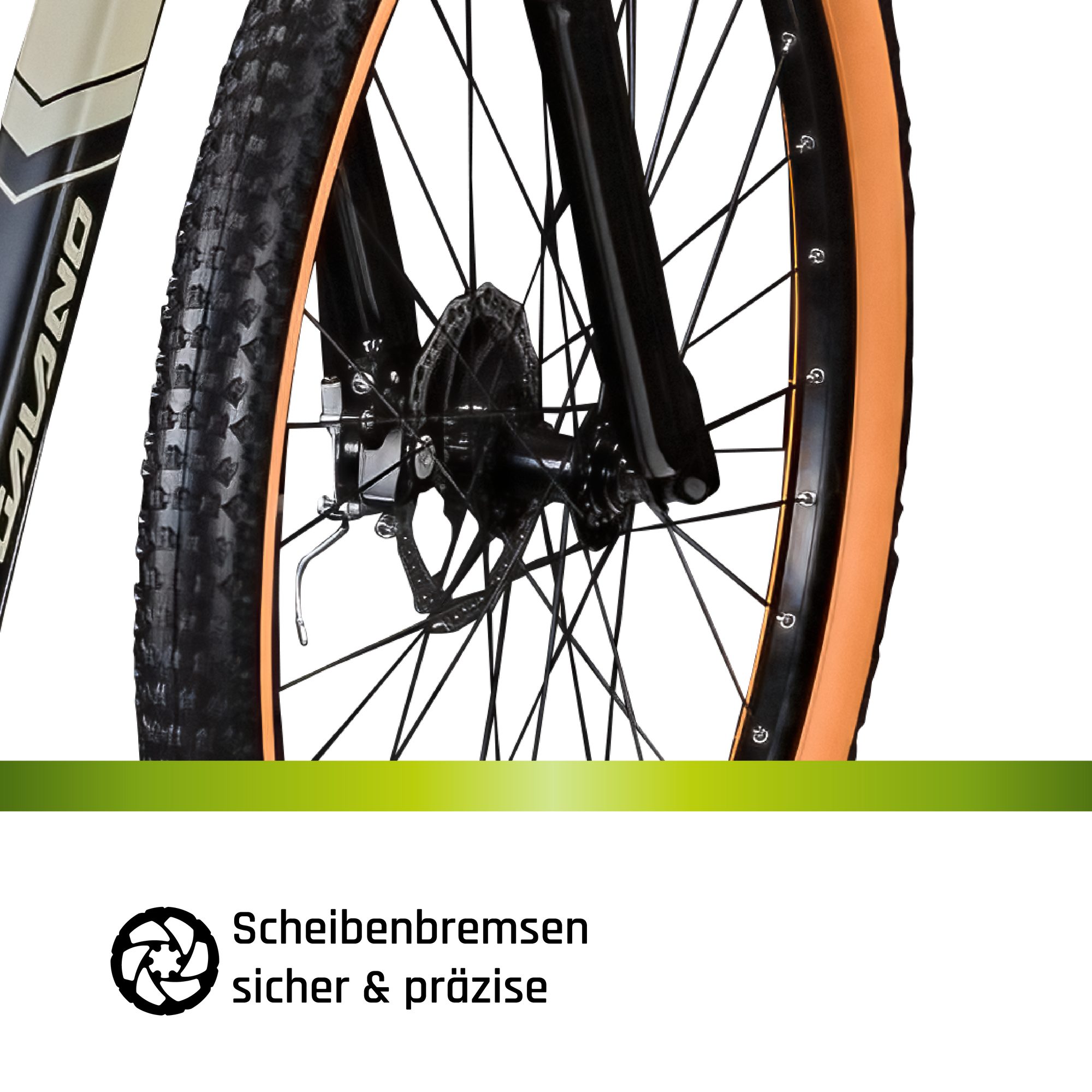 Galano Mountainbike Toxic 29", 21 Gang, Kettenschaltung, Mountainbike Hardtail 29 Zoll MTB Fahrrad